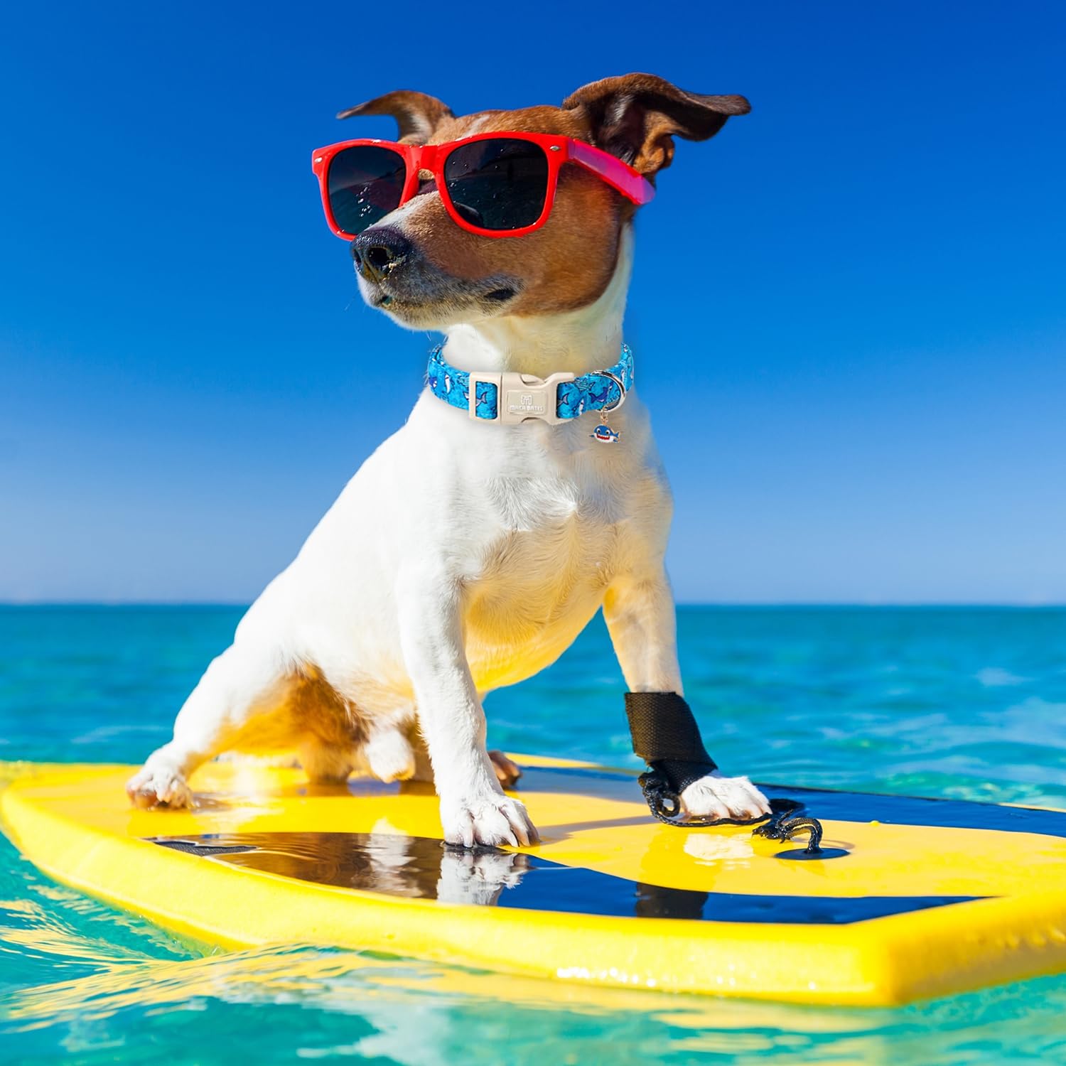 Maca Bates Summer Shark Basic Collar For Dog Adjustable Durable Soft Comfortable Blue Beach Sharks Dogs Collars Gift For Small M