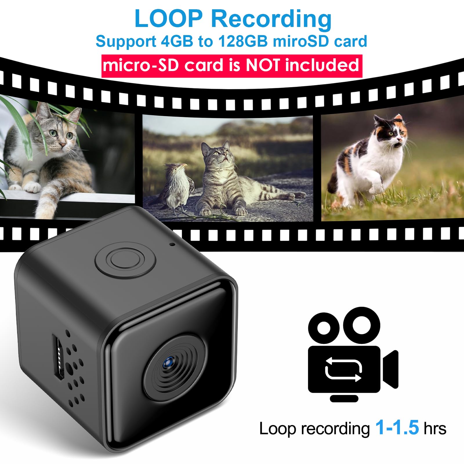 Kinetcam Cat Camera Collar,No App No Wifi Needed Cordless Cat Collar Camera With Video Record, Collar For Dogs/Big Cats,Pet Coll