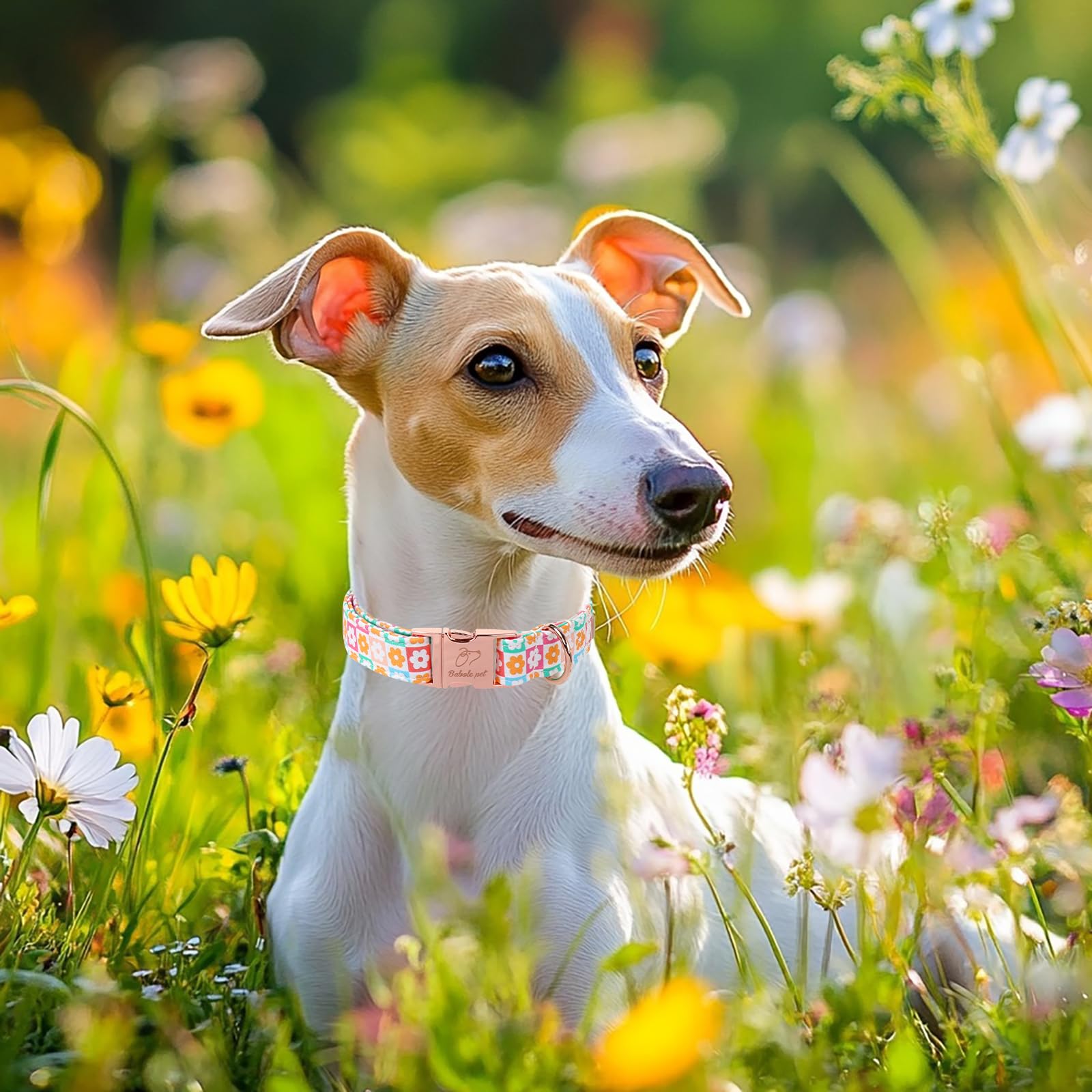 Babole Pet Spring Dog Collar, Pastel Checkered Flowers Pet Collar With Metal Buckel, Durable Adjustable Designer Dog Collars For