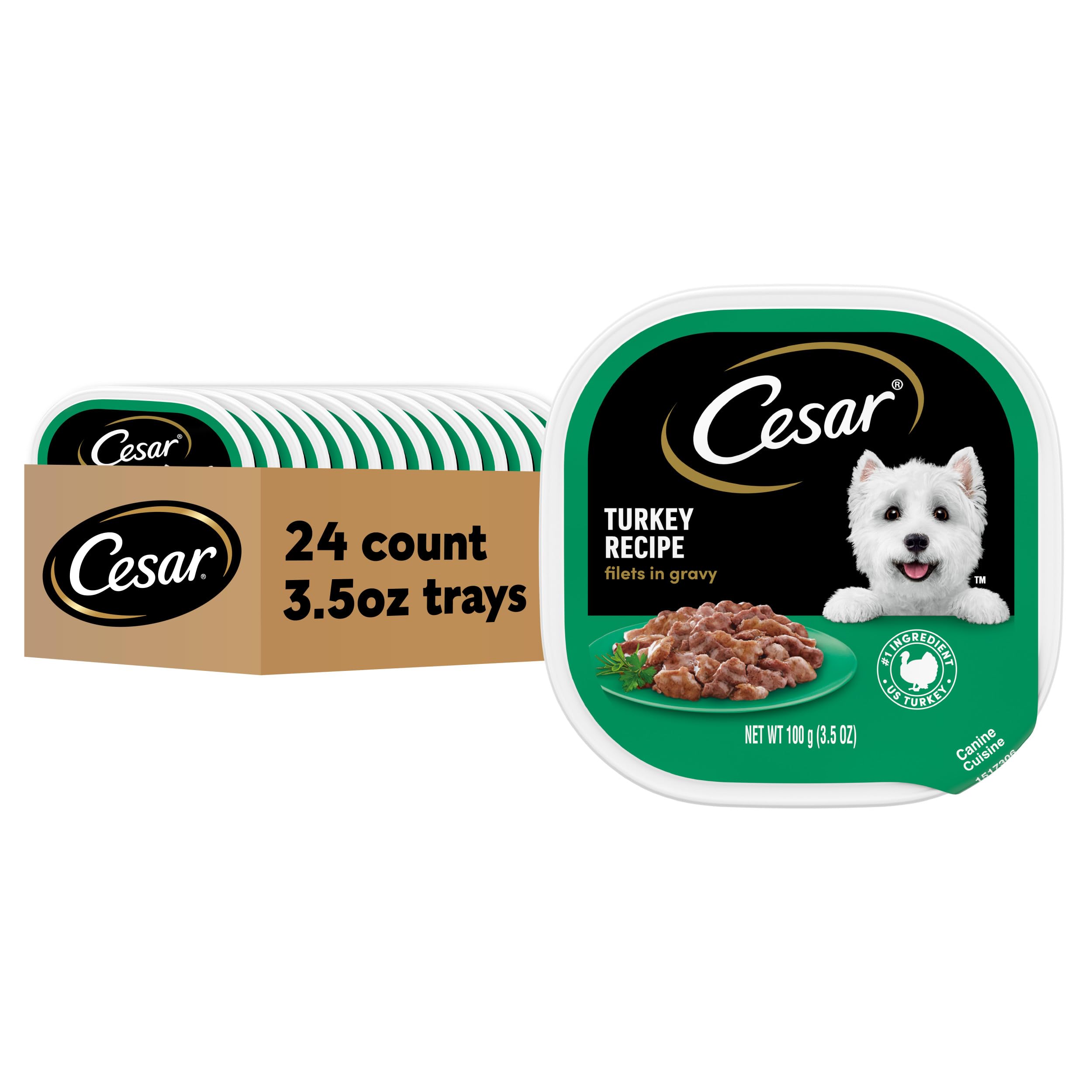 Cesar Filets in Gravy Adult Wet Dog Food, Turkey Recipe, 3.5 oz. (24 Count, Pack of 1)