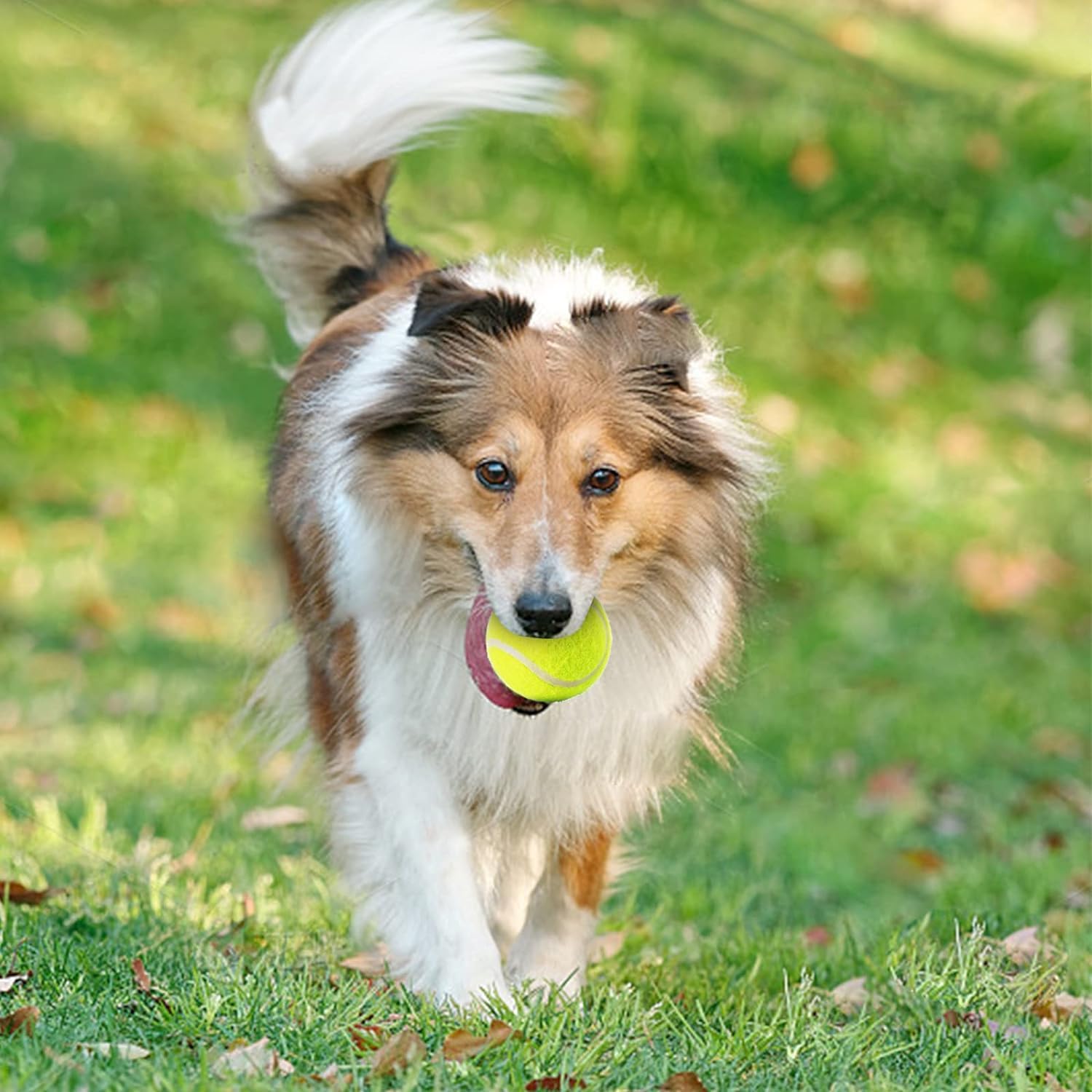 Mekaple 6 Pack Mini Tennis Balls For Pet Playing Fecth, 2 Inch Dogs Training Tennis Balls For Small Size Dogs, Interactive Dog P