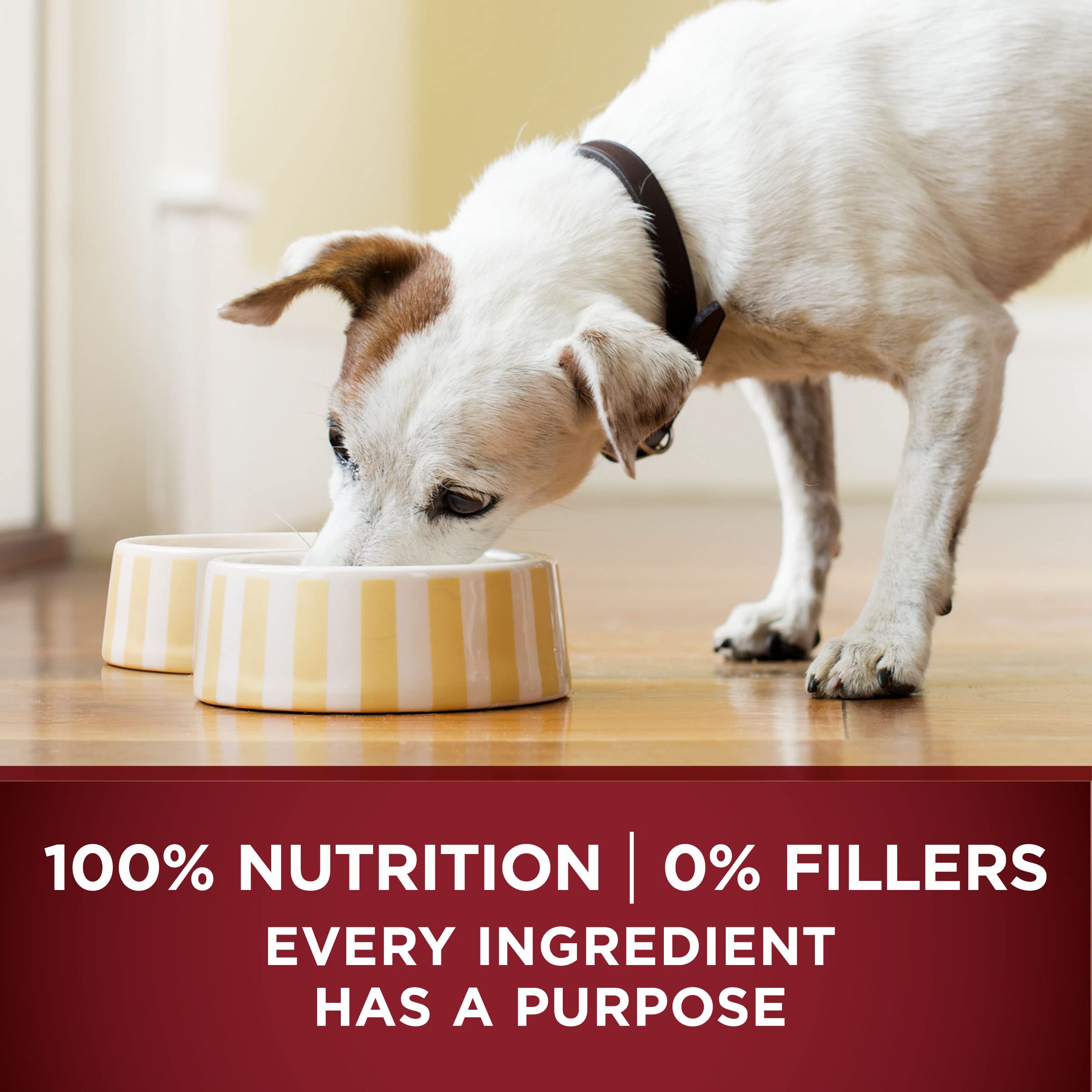 Purina ONE Wet Dog Food True Instinct Classic Ground Grain-Free Formula With Real Beef and Bison High Protein Dog Food - (Pack o