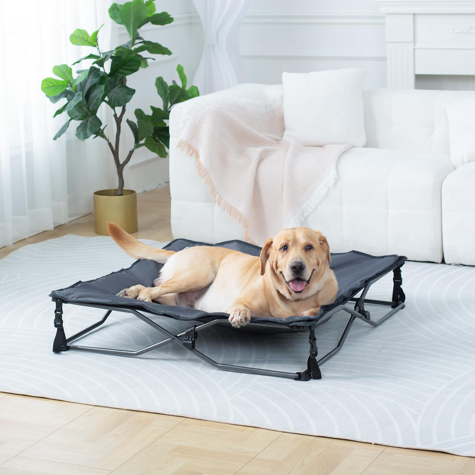 Timber Ridge Large Elevated Dog Bed, 3-In-1 Portable, Folding, And Raised With Removable Pad Mat, Cooling Design For Indoor And
