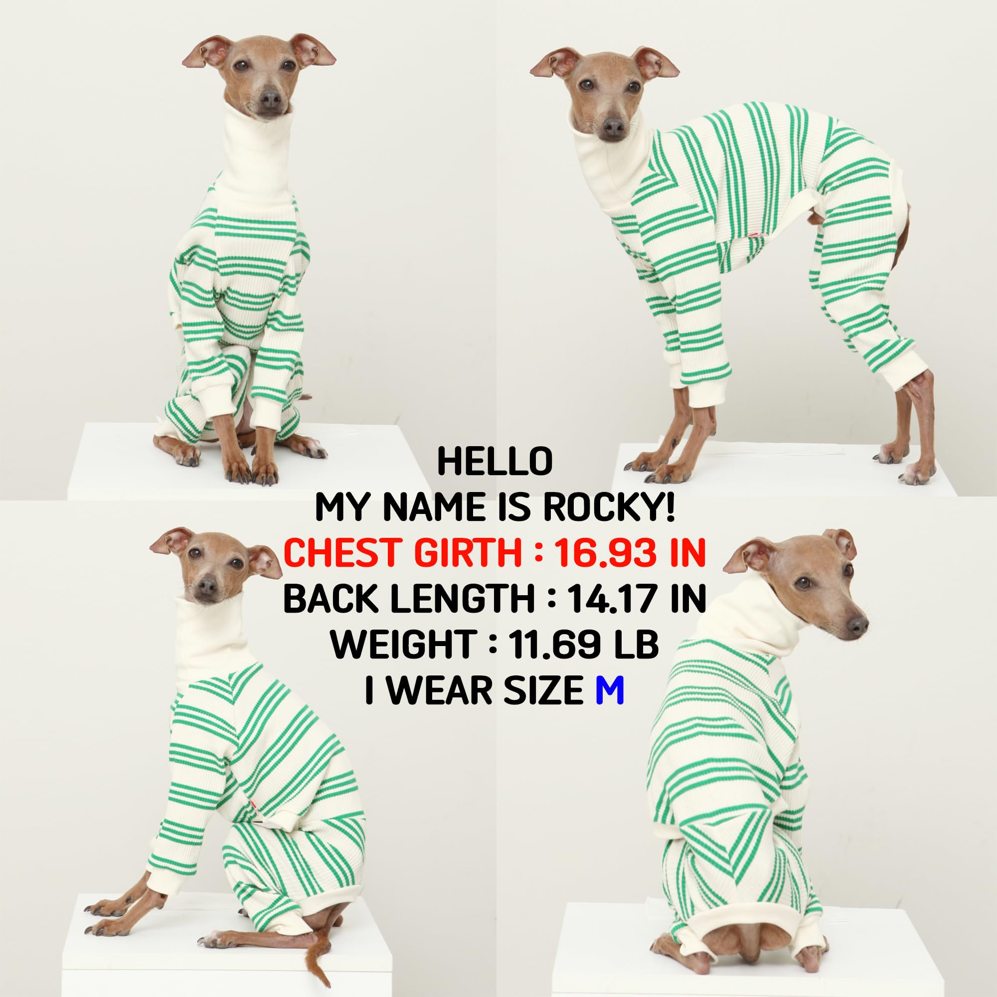 D Doggy Star Italian Greyhound Clothes Soft Stretchy Onesie Refined Stripe Outfit Whippet For Dog Coat (L,Onsi Green Str)