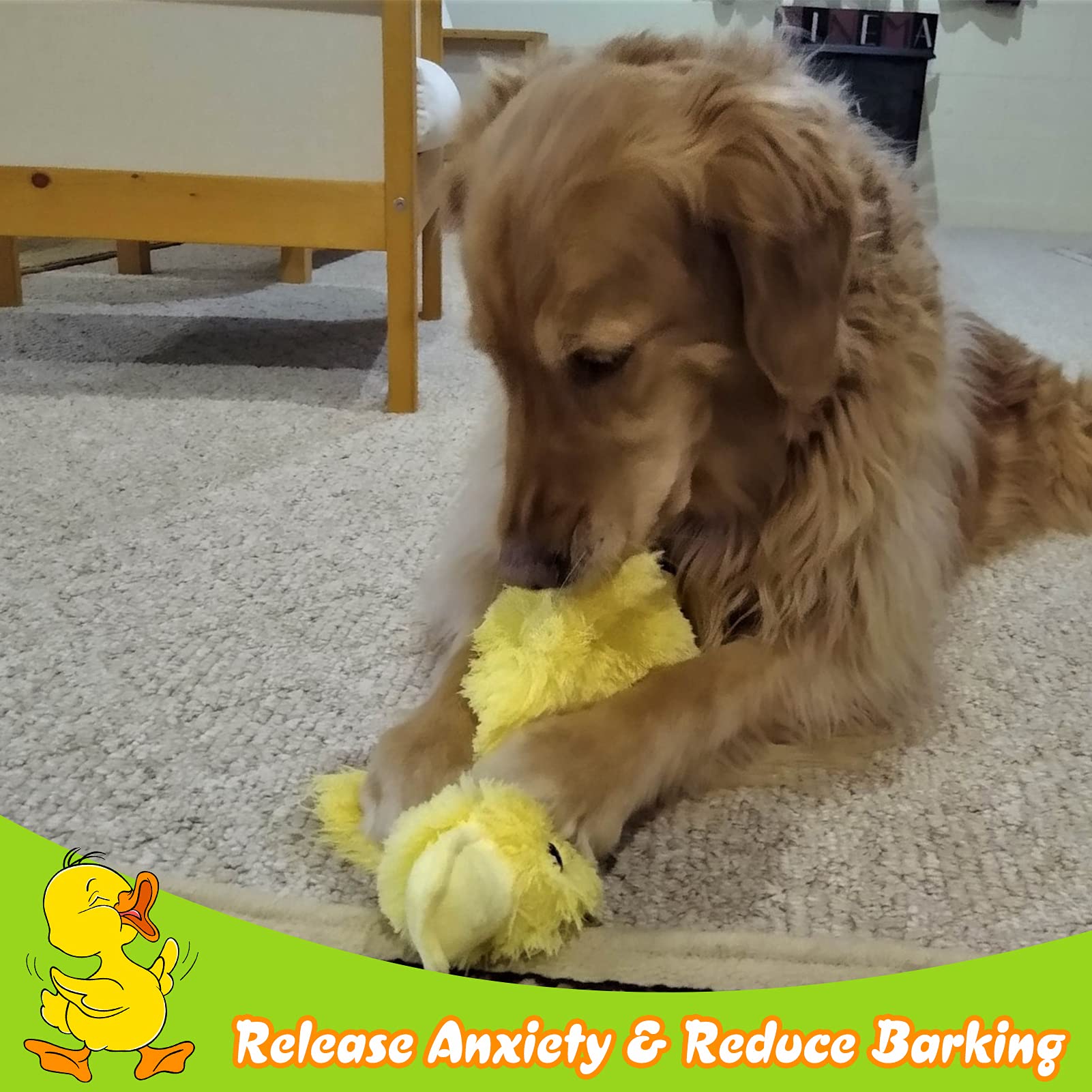 EXPAWLORER Plush Squeaky Duck Dog Toy - 14 Large Stuffed Soft Cute Duck, Best Birthday Gift Interactive Filled Chew Toys for Sma
