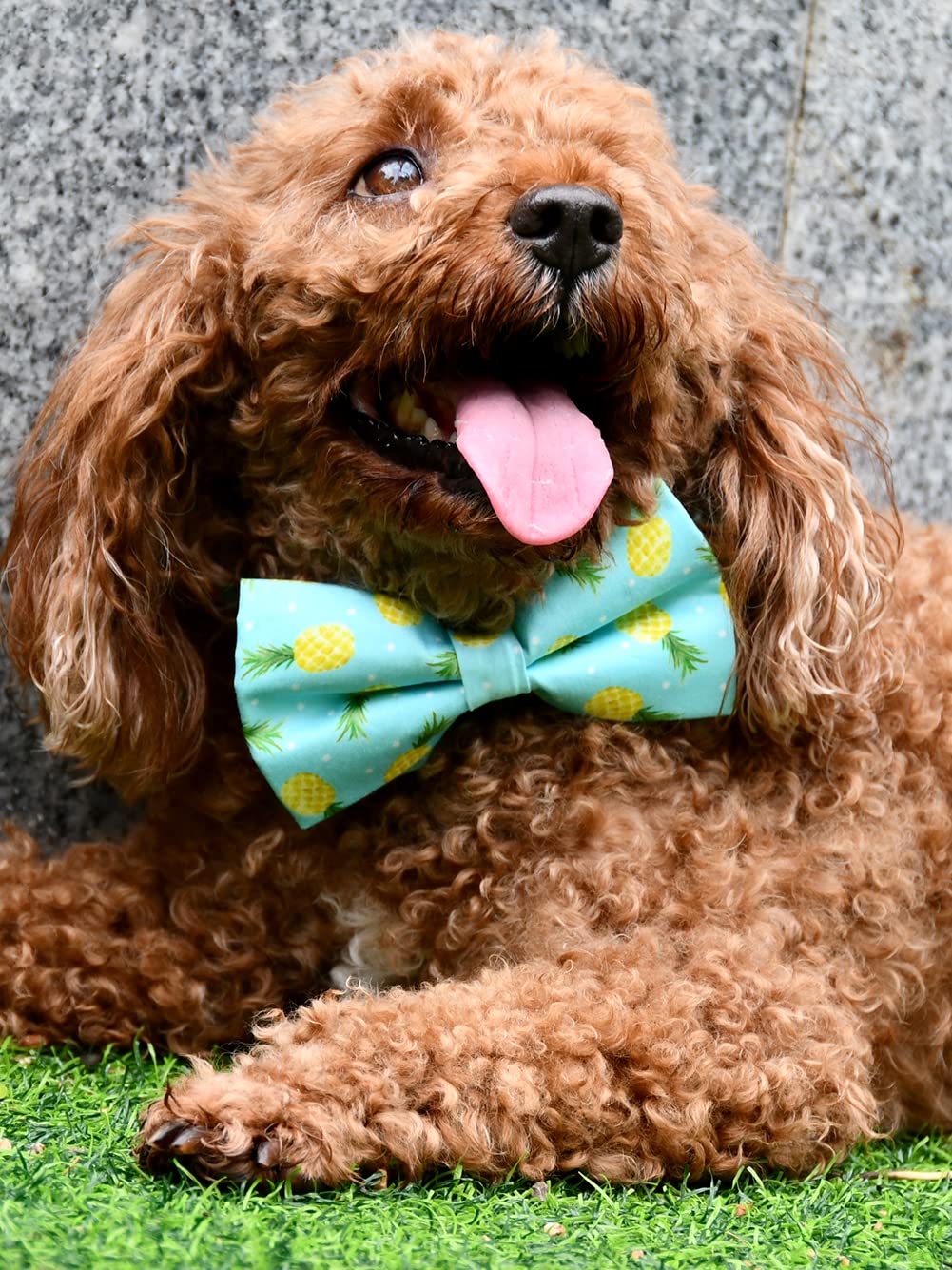 Summer Pineapple Dog Collar Dog Bowtie, Detachable Bow, Adjustable Collar For Small Medium Large Dogs