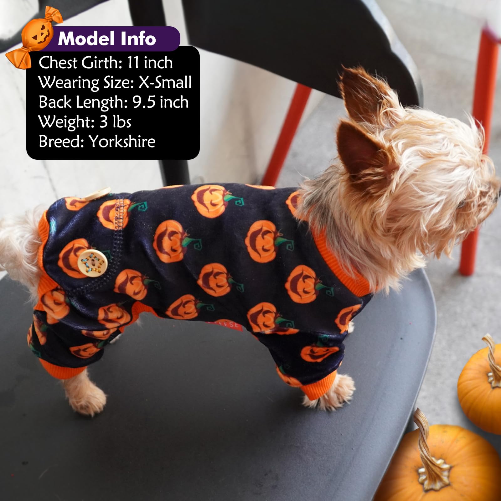 Kyeese Dog Pajamas Halloween For Small Dogs Pumpkin Dog Pjs Onesie Stretchable Soft Material Cat Pajamas