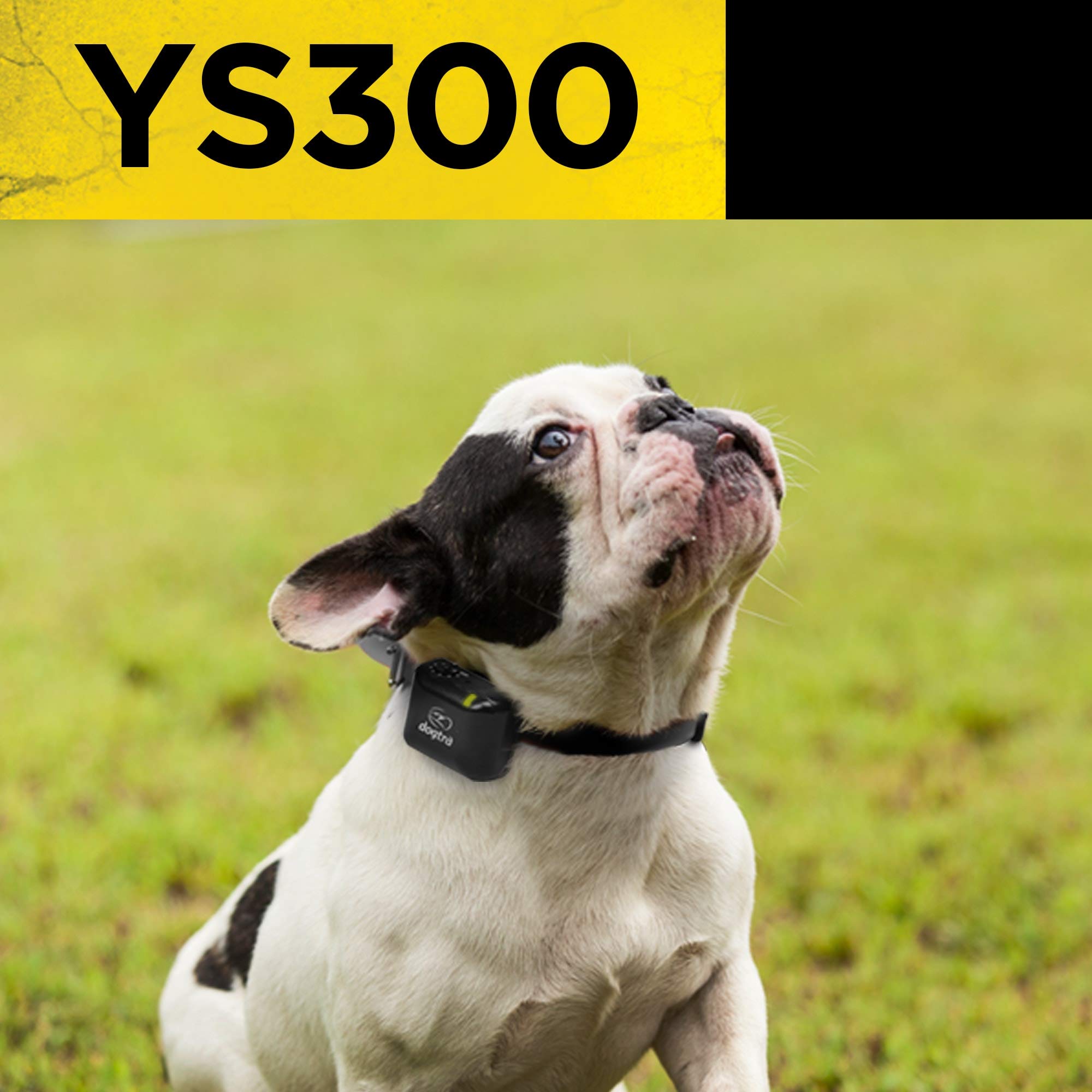 Dogtra No Bark Collar Ys300