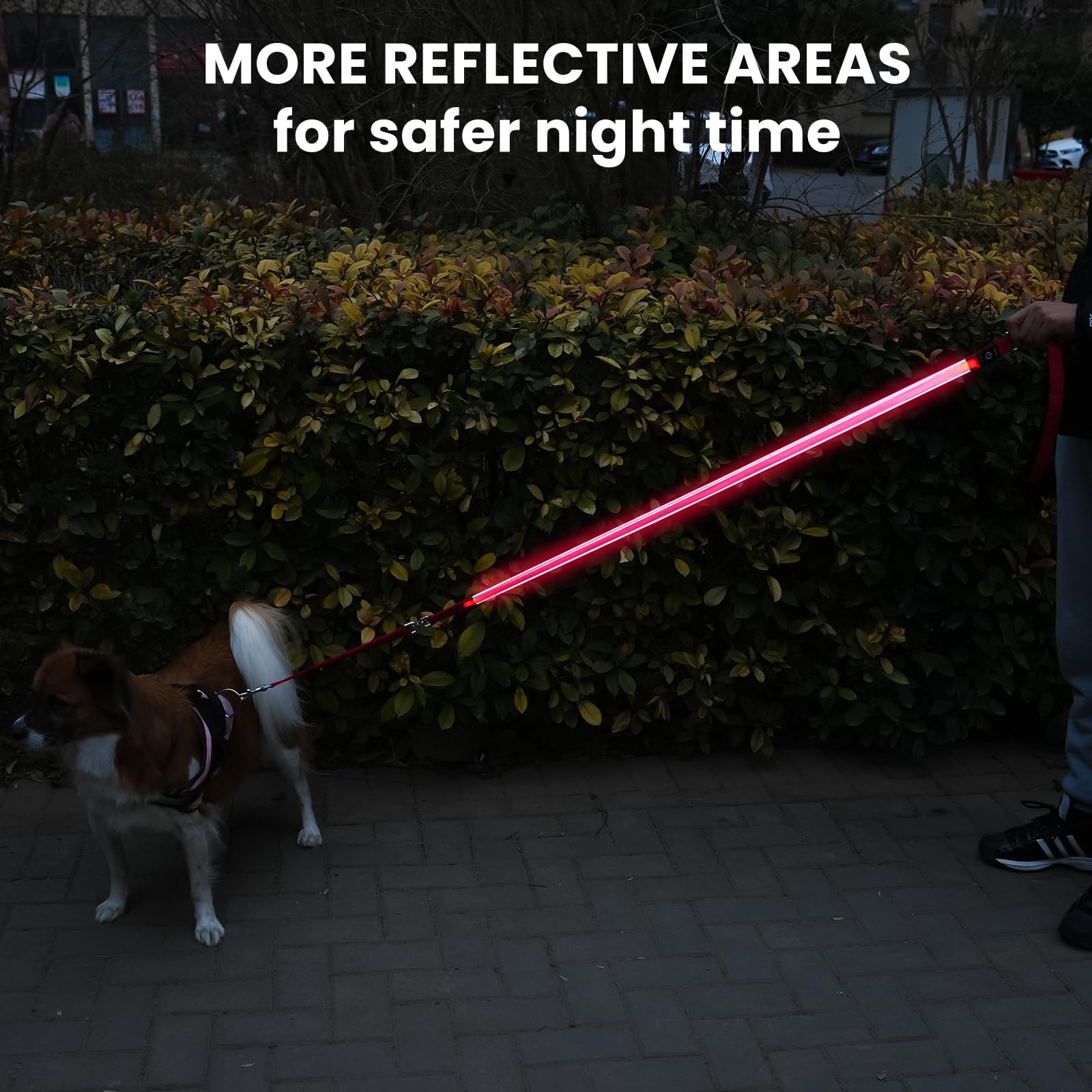 Petisay Led Dog Leash - Rechargeable, Waterproof & Reflective, 6Ft Tangle-Free For Night Walking(Red)
