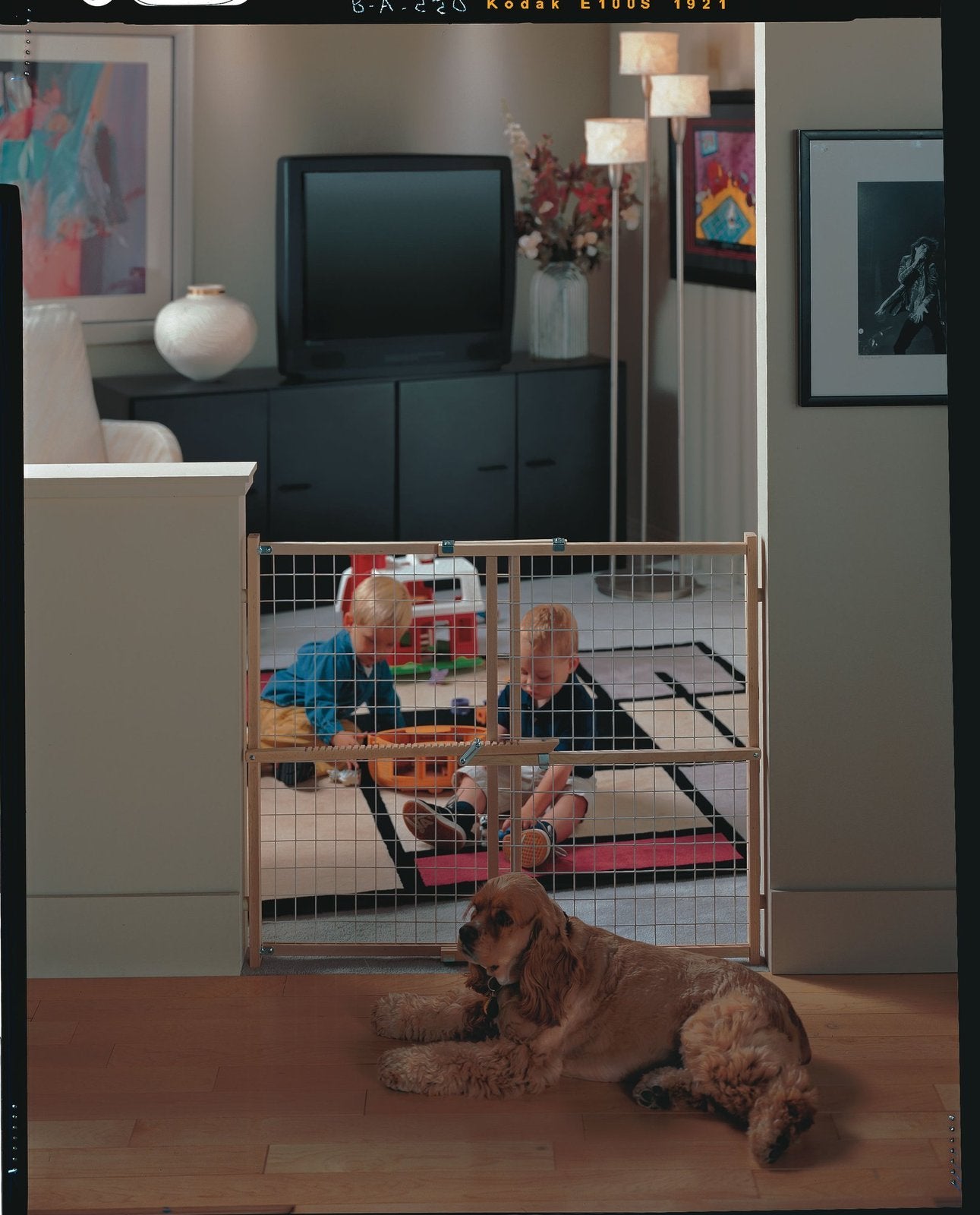 Toddleroo By North States Extra Wide Wire Mesh Wooden Baby Gate: 29.5'-50' Wide. Pressure Mounted Baby Gate For Doorway. (31' Tall, Sustainable Hardwood)