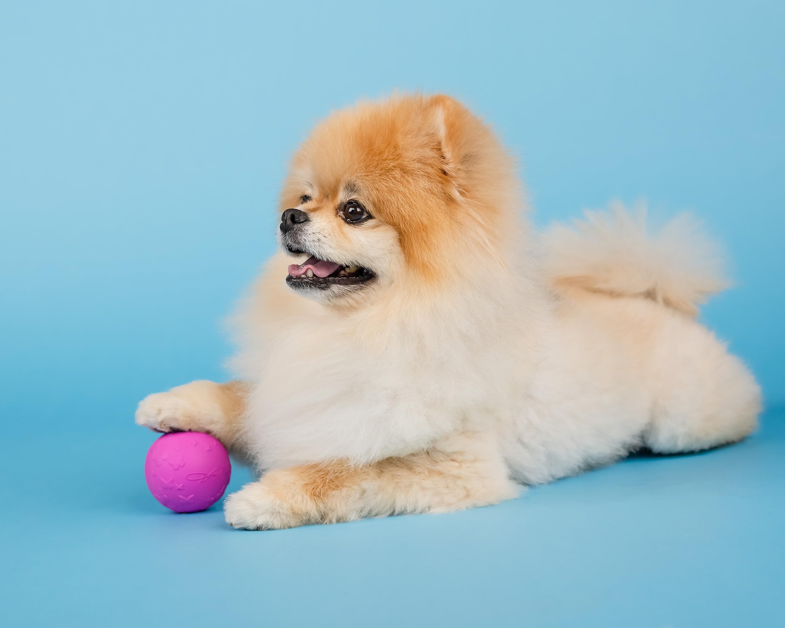 Doggy Parton Natural Rubber Dog Toys, Dog Balls, Treater