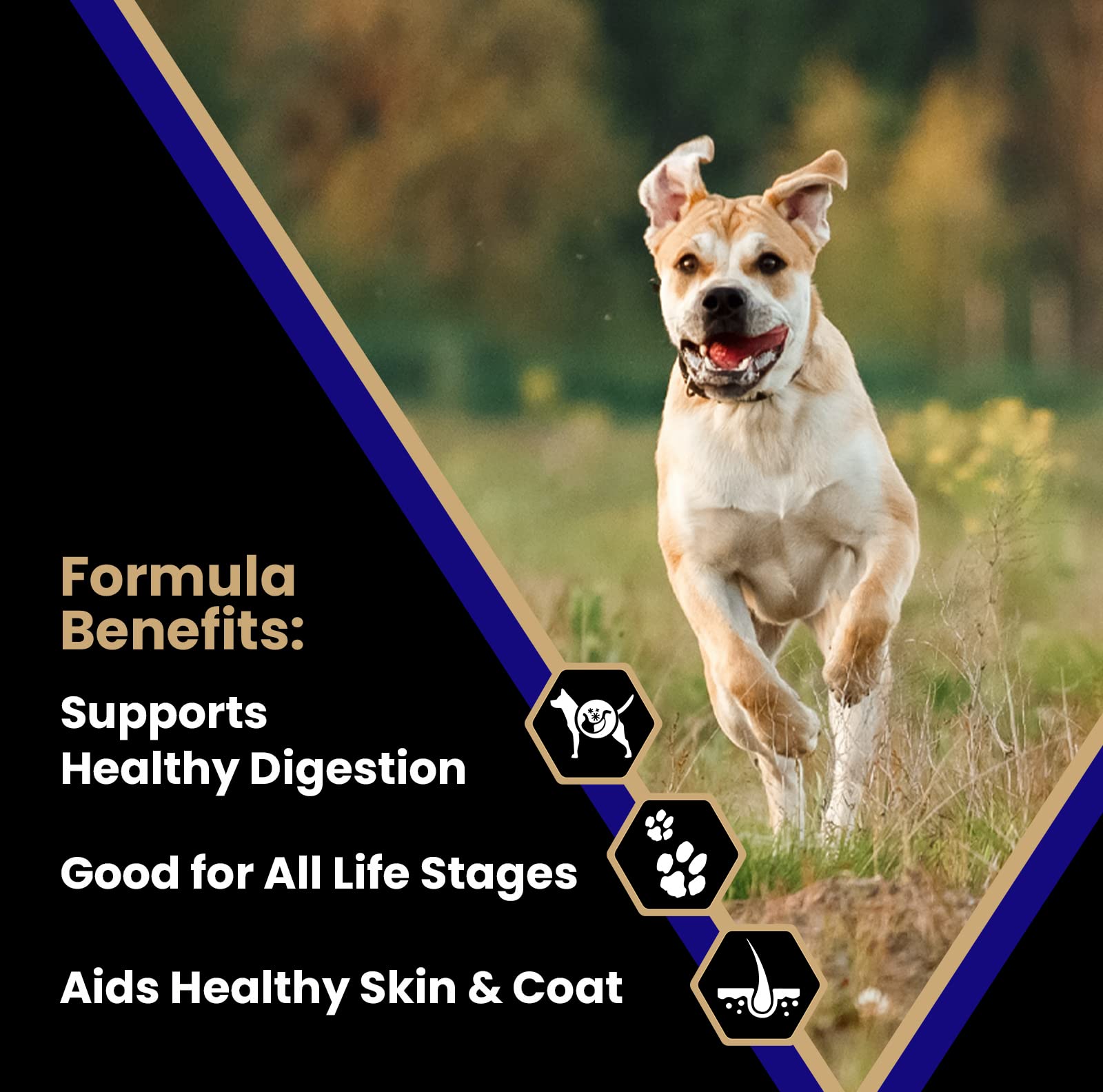 Victor Super Premium Dog Food - Select - Beef Meal & Brown Rice Formula - Gluten Free Beef Meal Dry Dog Food for All Normally Ac