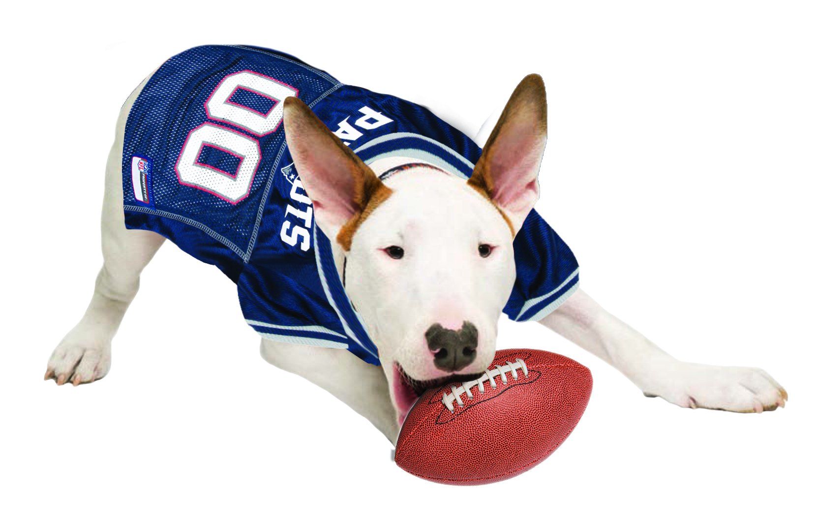 NFL NEW ENGLAND PATRIOTS DOG Jersey, X-Small