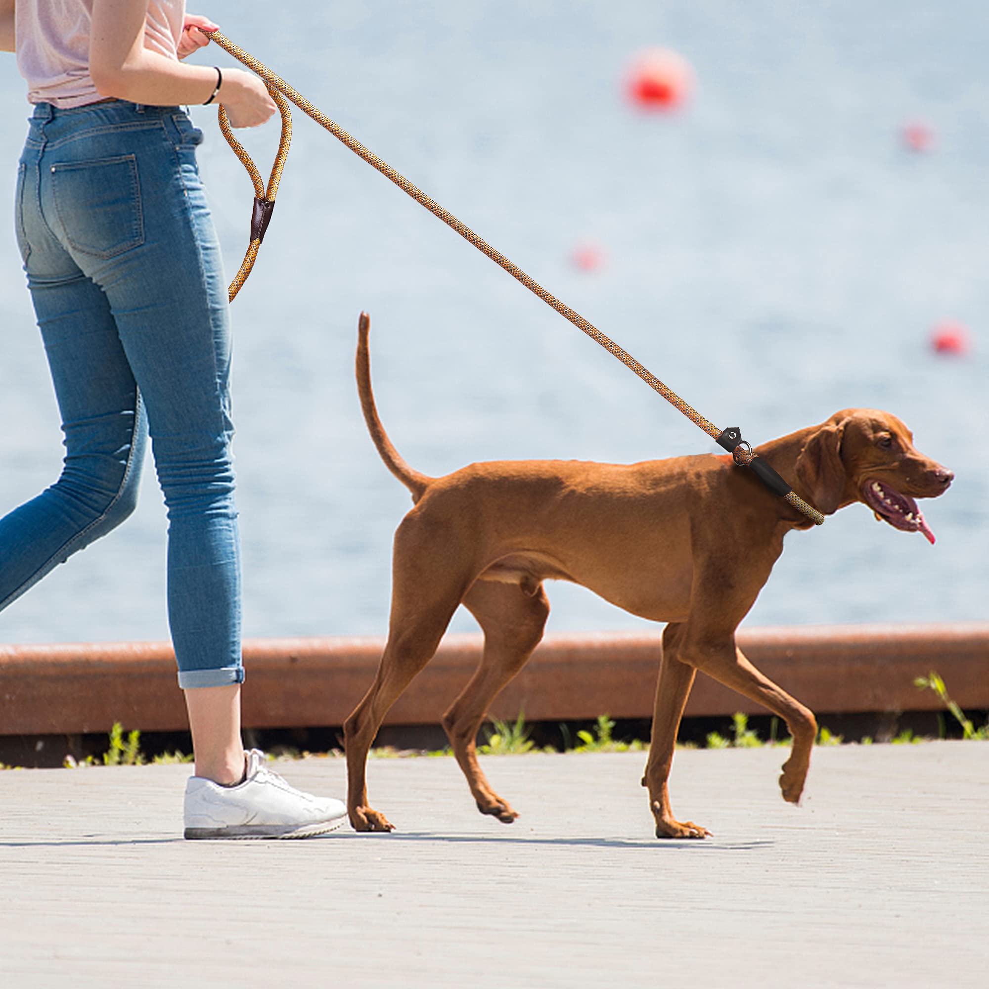 Twoear Dog Leash Dog Slip Rope Leash 1/2' X 6Ft Dog Training Leash Heavy Duty Strong Slip Lead Highly Reflective Threads For Small Medium And Large Dogs(Orange)