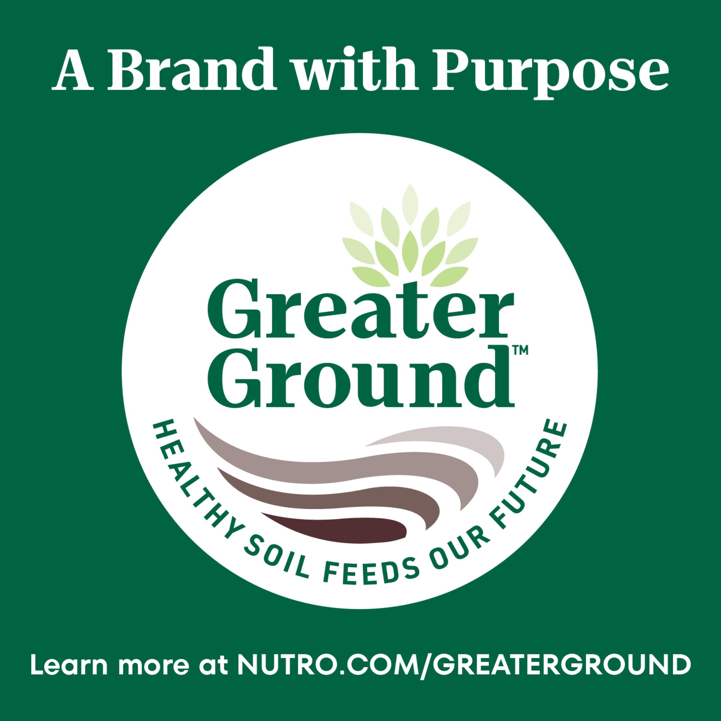 Nutro Wholesome Essentials Natural Dry Cat Food Kitten Formula Chicken & Brown Rice, 5 lb. Bag
