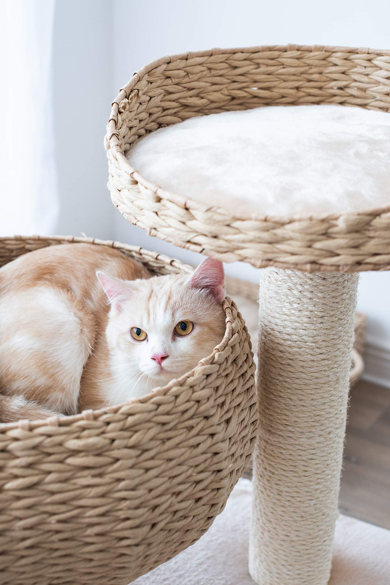 Petpals Paper Rope Natural Bowl Shaped With Perch Cat Tree