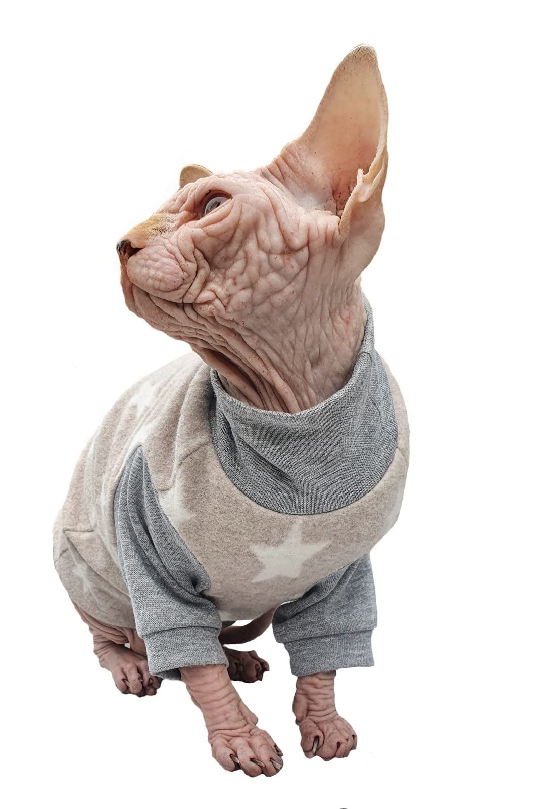Kotomoda Hairless Cat'S Cotton Stretch Winter Sweater Sort Stars. Organic Fleece For Sphynx Cat (Medium)