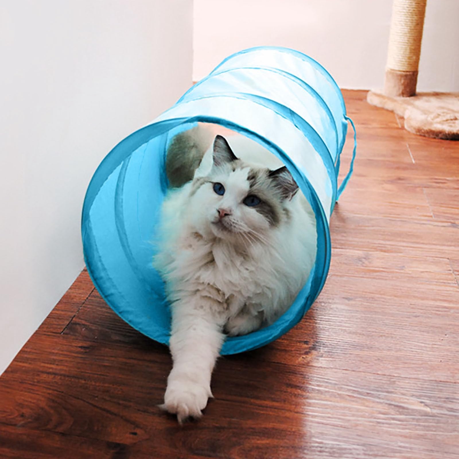 Icagy Cat Tunnel For Indoor Cats Interactive, Rabbit Tunnel Toys, Pet Toys Play Tunnels For Cats Kittens Rabbits Puppies Crinkle