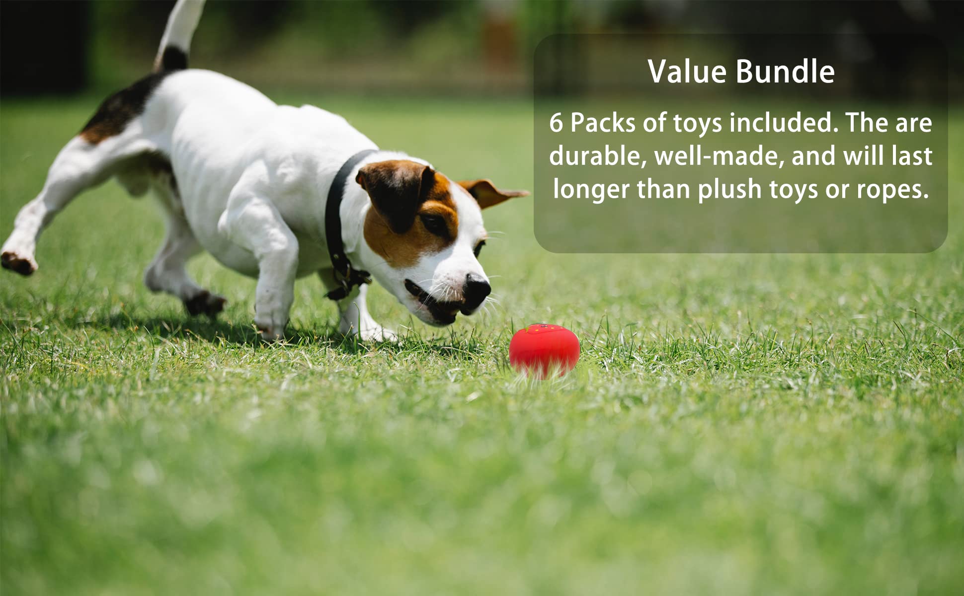 Jalousie 3 Inch Squeaky Dog Toys - Soft Rubber Chew Balls for Small & Medium Pets - 6 Pack Fetch Play Toy Set
