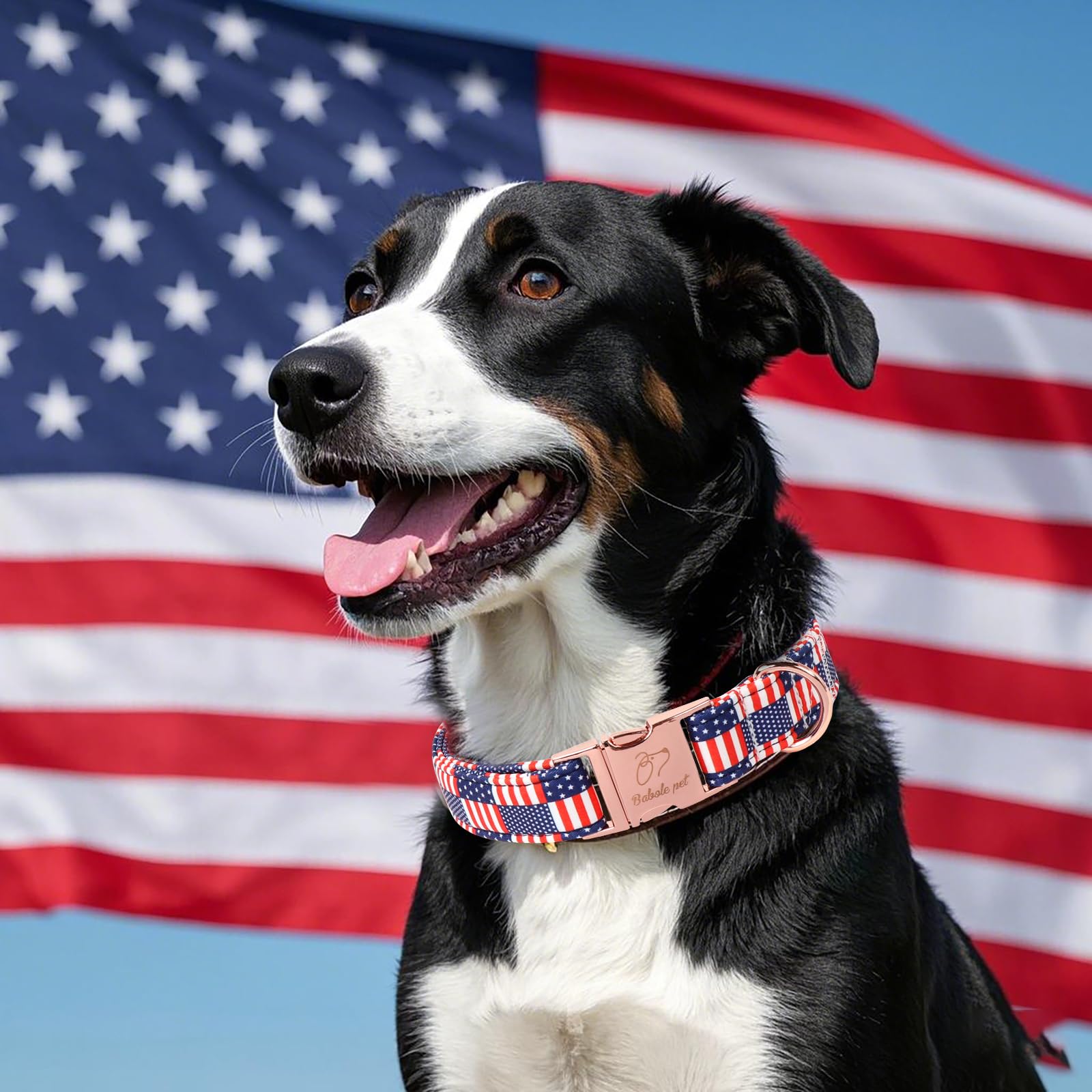 Babole Pet 4Th Of July Dog Collar - Us Flag Patriotic Dog Collars For Puppy & Tiny Dogs, Adjustable Independence Day Stars & Str