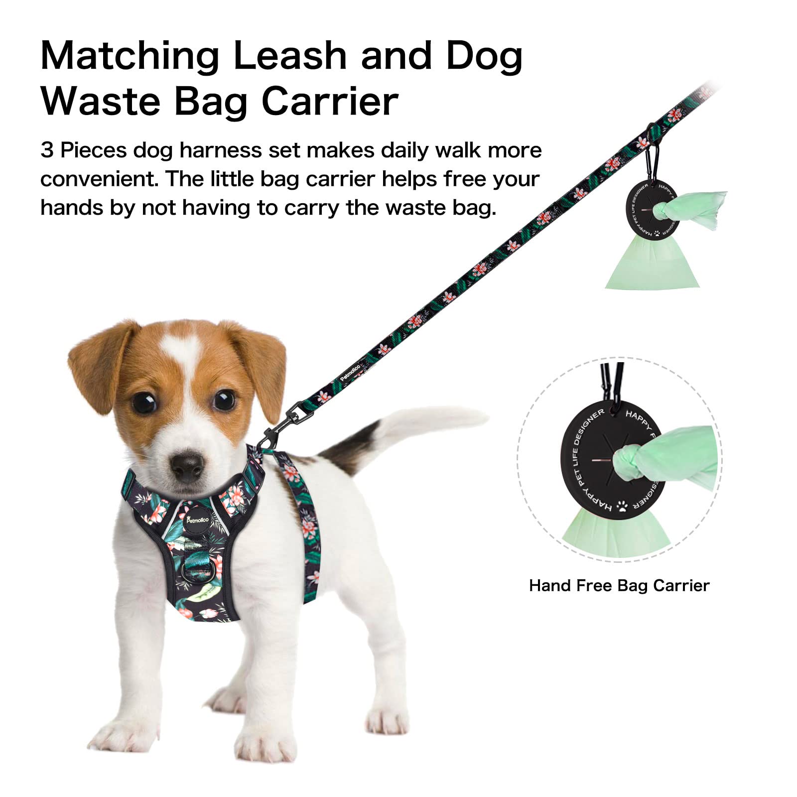 Petmolico Dog Harness For Small Dogs No Pull, Cute Dog Harness With Two Leash Clips And Soft Handle, Reflective Easy Walk Dog Harness With Leash, Black Lotus Small
