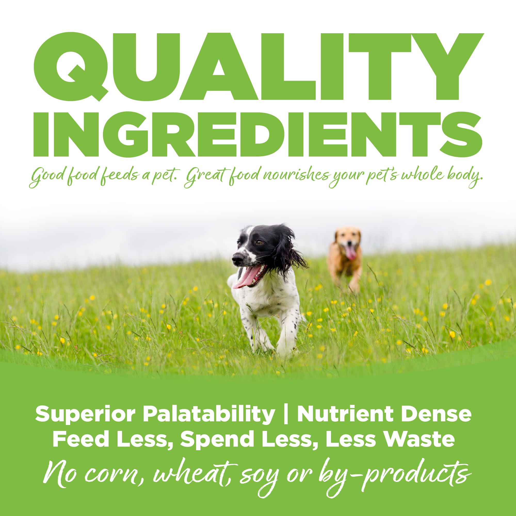 NutriSource Weight Management Dry Dog Food, Chicken and Chicken Meal, 12LB