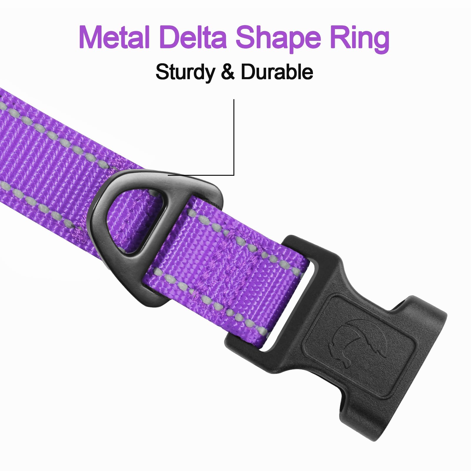 Joytale Reflective Dog Collar - Soft Neoprene Padded Nylon, Adjustable for XL Dogs, Purple
