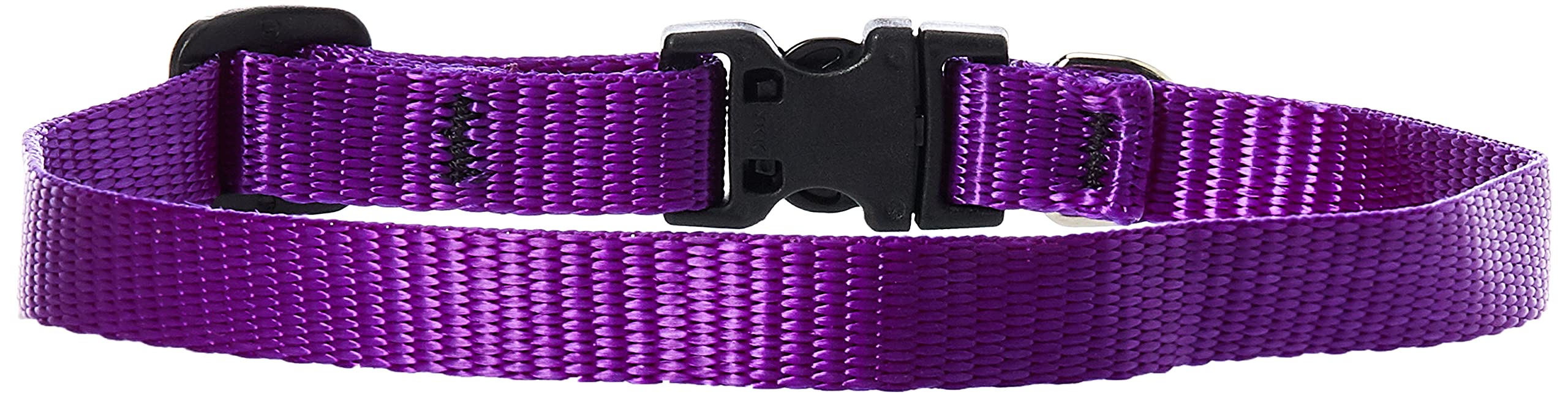 LupinePet Basics 1/2'' Purple 10-16'' Adjustable Collar for Small Dogs