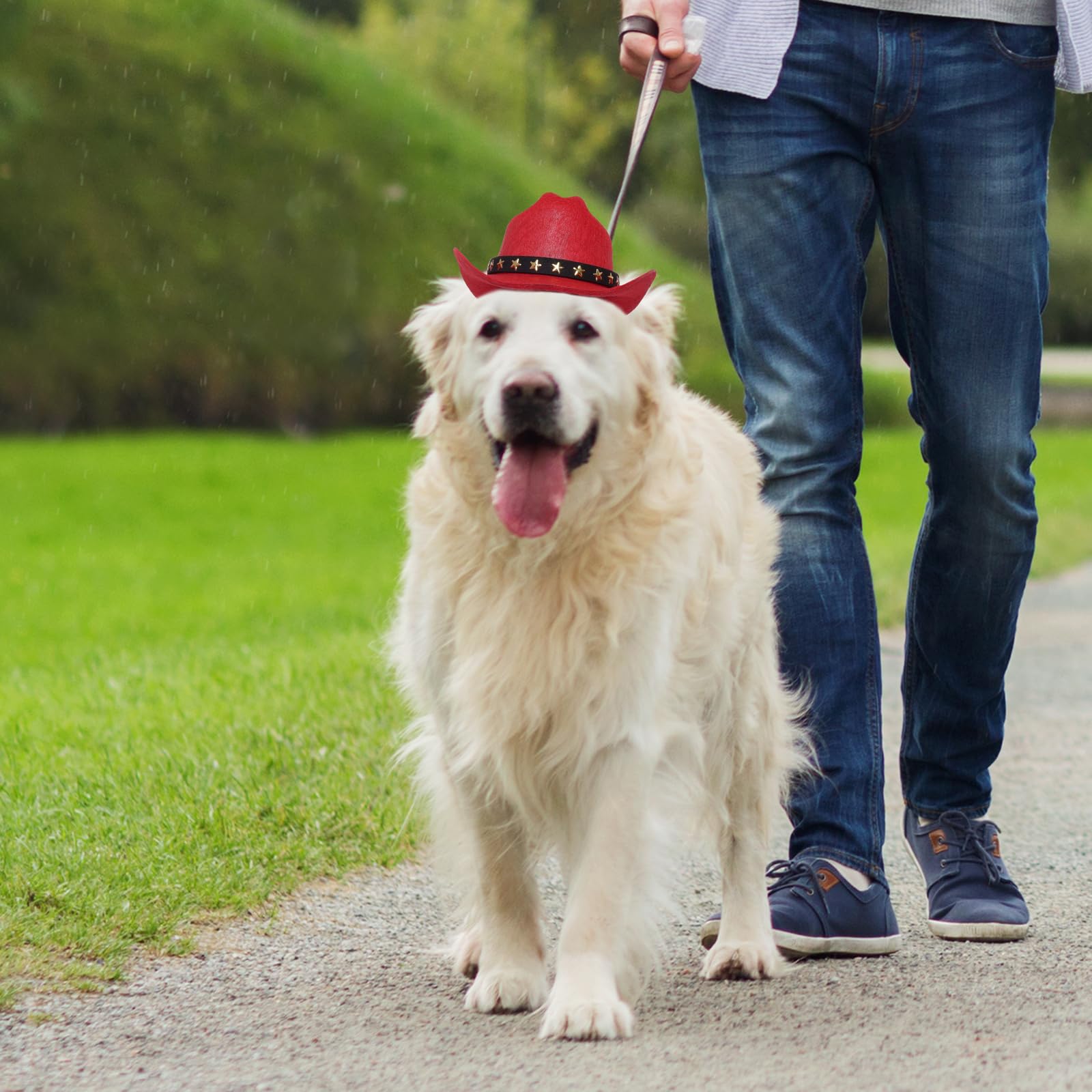 Choyaxo Pet Cowboy Costume Cosplay Cap Halloween Costumes For Dogs Cat Pet Party Decoration Mini Cowboy Hat (Red, Small)