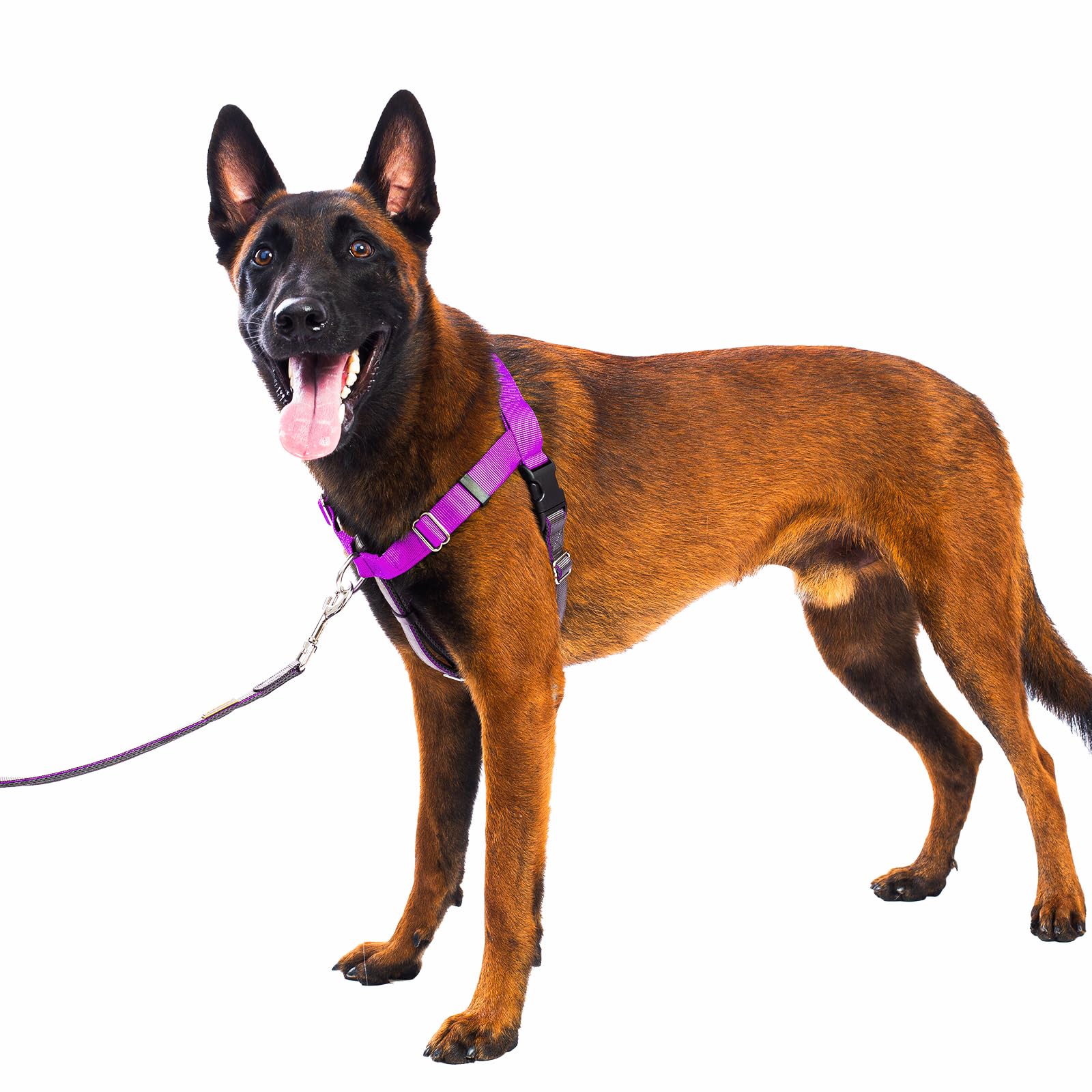 APDEXY Freedom No Pull Dog Harness for Large Dogs, Front Clip, Easy Walker, Anti Pull with Two Stainless D-Rings, Comfortable, S
