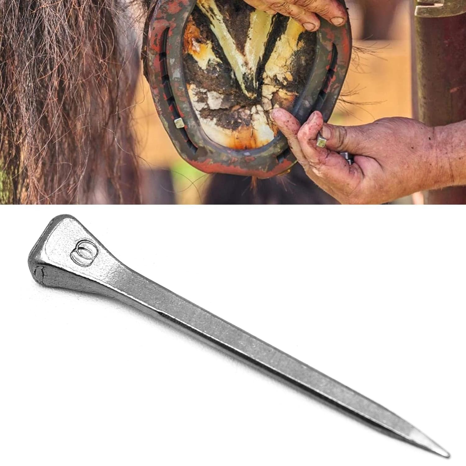 Surf Turtle E5 Horseshoe Nails 50 Pcs 2 Inches Low Carbon Steel Horse Hoof Nails Horse Training Supplies Tool For Securing Firml