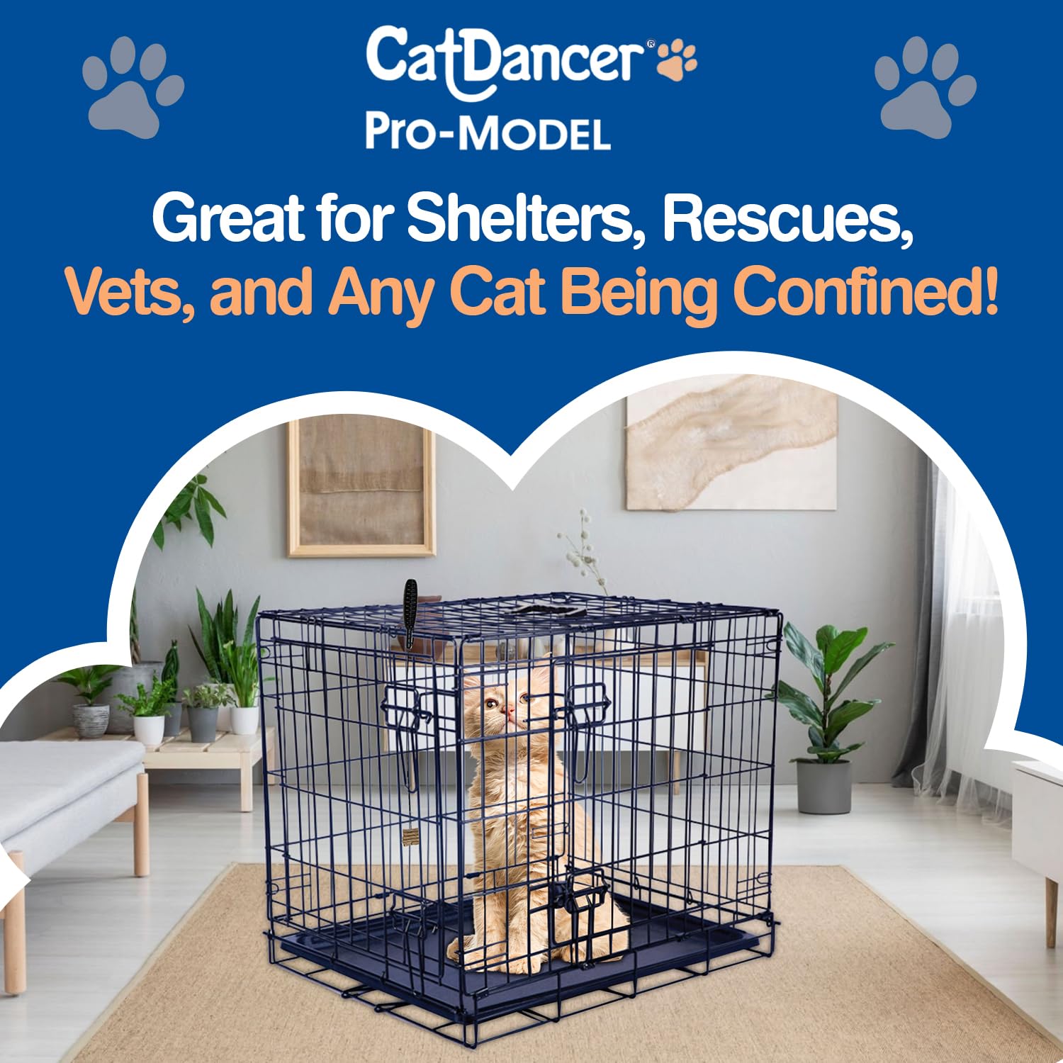 Cat Dancer Pro-Model Interactive Cat Toy with Cage Clip, Black, 1 Pack, Polypropylene, Model 151-D