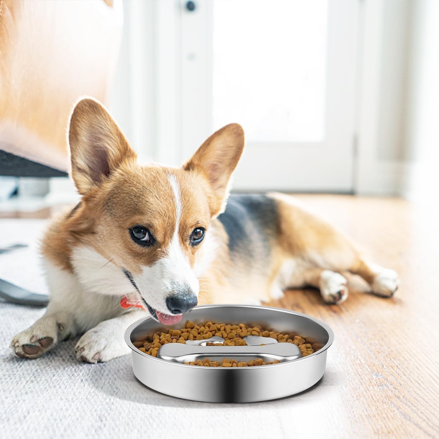Stainless Steel Slow Feeder Dog Bowls,2 Pcs Slow Food Bowl for Dog & Cat - 2 Cups Capacity,Bone-Shaped Design Pet Food Holder,Me