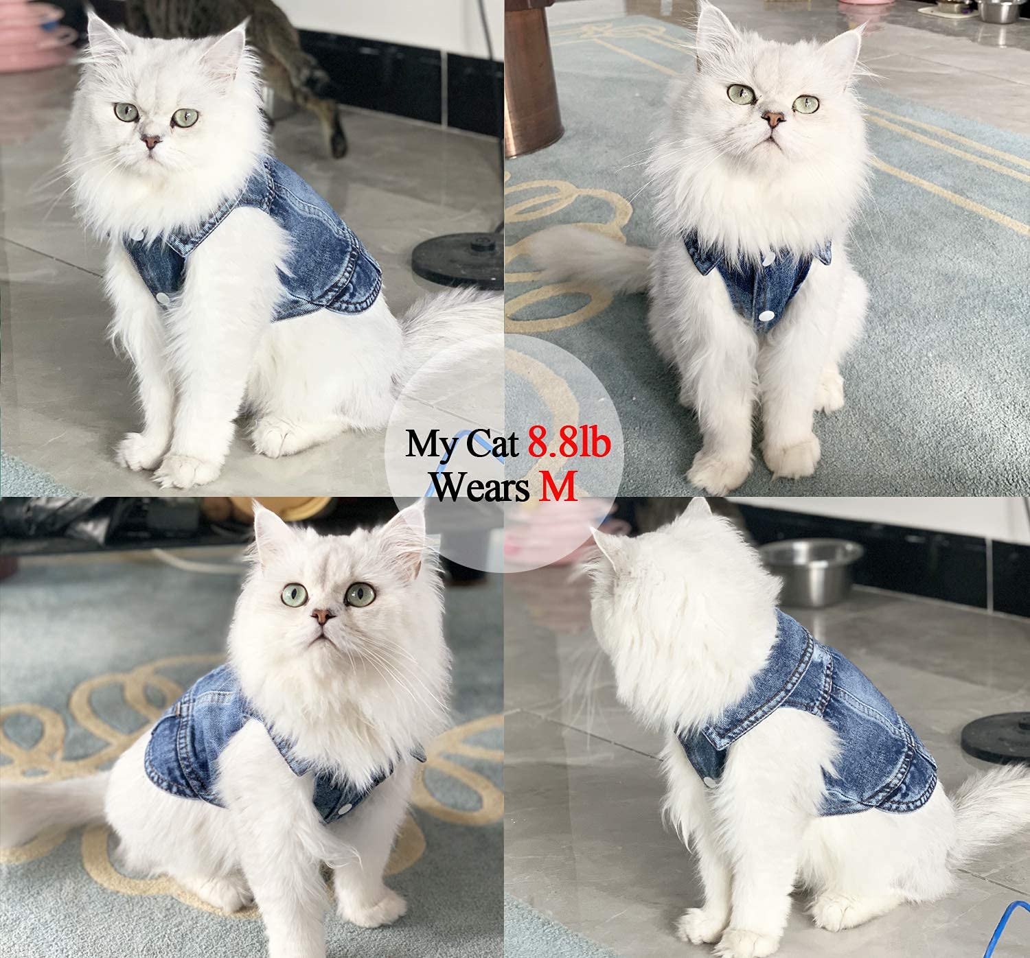 Dog Jean Jacket, Puppy Blue Denim Lapel Vest Coat Costume, Girl Boy Dog T-Shirt Clothes, Cool And Funny Apparel Outfits, Machine Washable Dog Outfits For Small Medium Dogs Cats (Xl)
