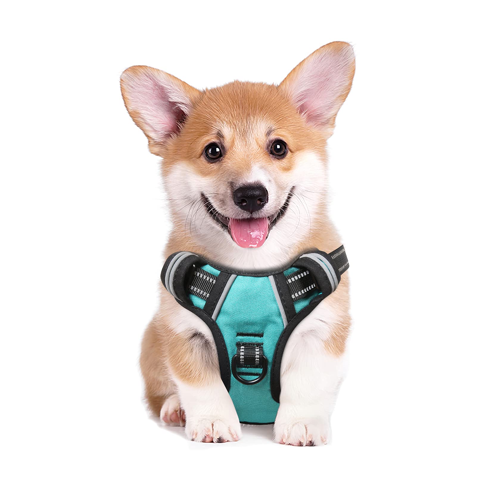 Heele Dog Harness, No Pull Adjustable Padded Reflective Harness For Small Medium Large Dogs With Handle For Walking Training,Tur