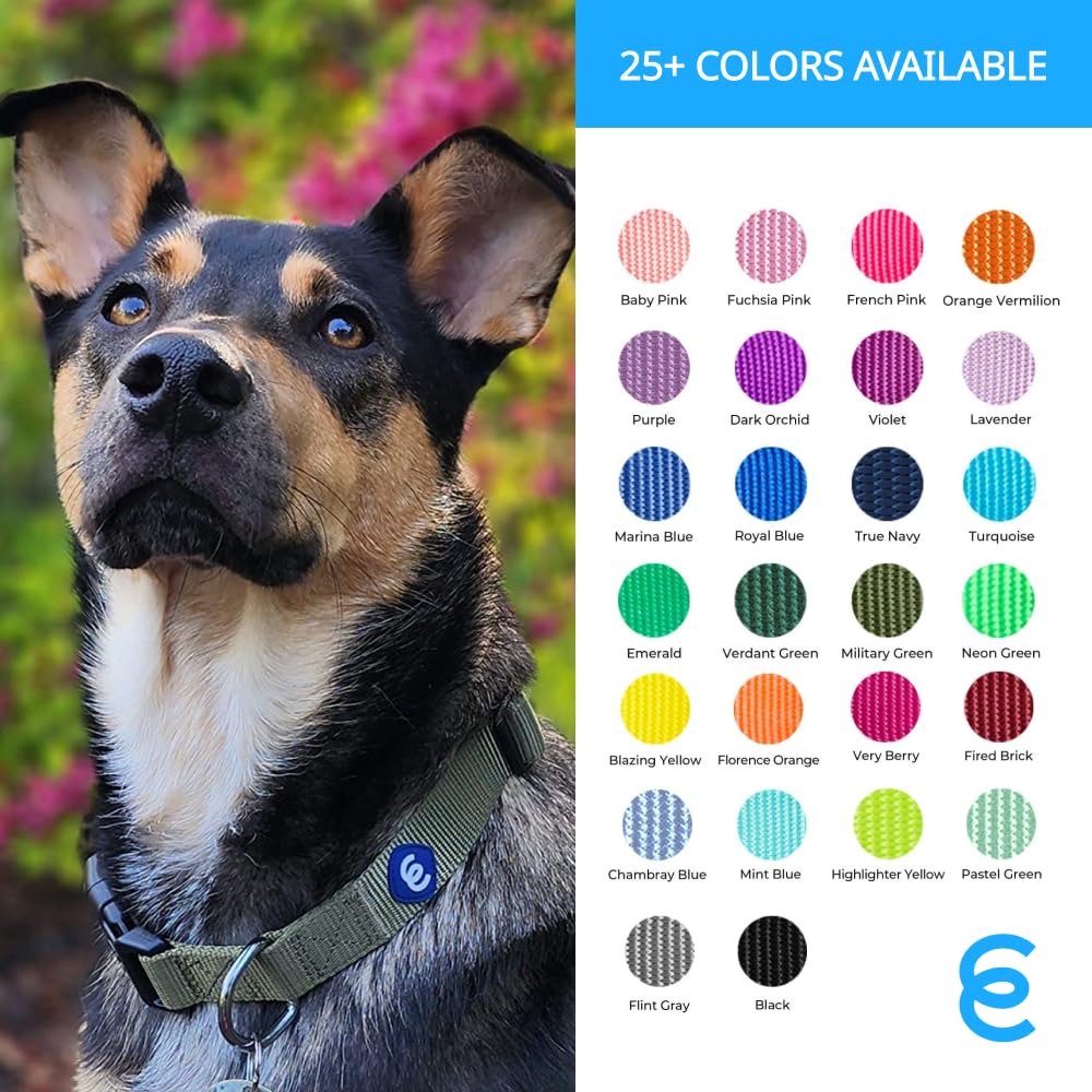 Blueberry Pet Essentials Matching Large Dog Collar | Adjustable Classic Solid Color Nylon Dog Collars For Large Dogs | Royal Blue Dog Collar For Large Dogs