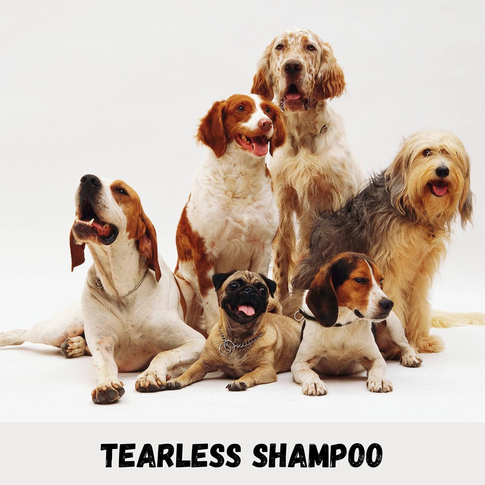 Bio-Groom Groom'N Fresh Dog Shampoo – Odor Eliminating, Dog Bathing Supplies, Puppy Wash, Cat & Dog Grooming Supplies, Cruelty-Free, Made In Usa, Dog Products – 1 Gallon