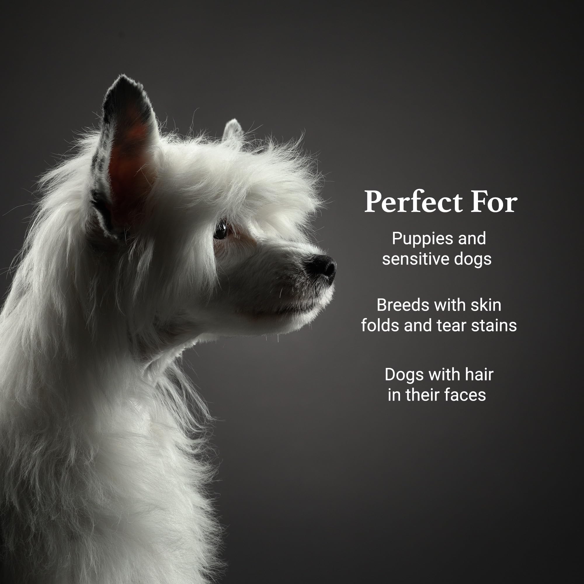 iGroom Tearless Facial Dog Shampoo - Ultra Mild, 128 Fl Oz, Restores Skin Moisture, Made in USA, Model IG00849