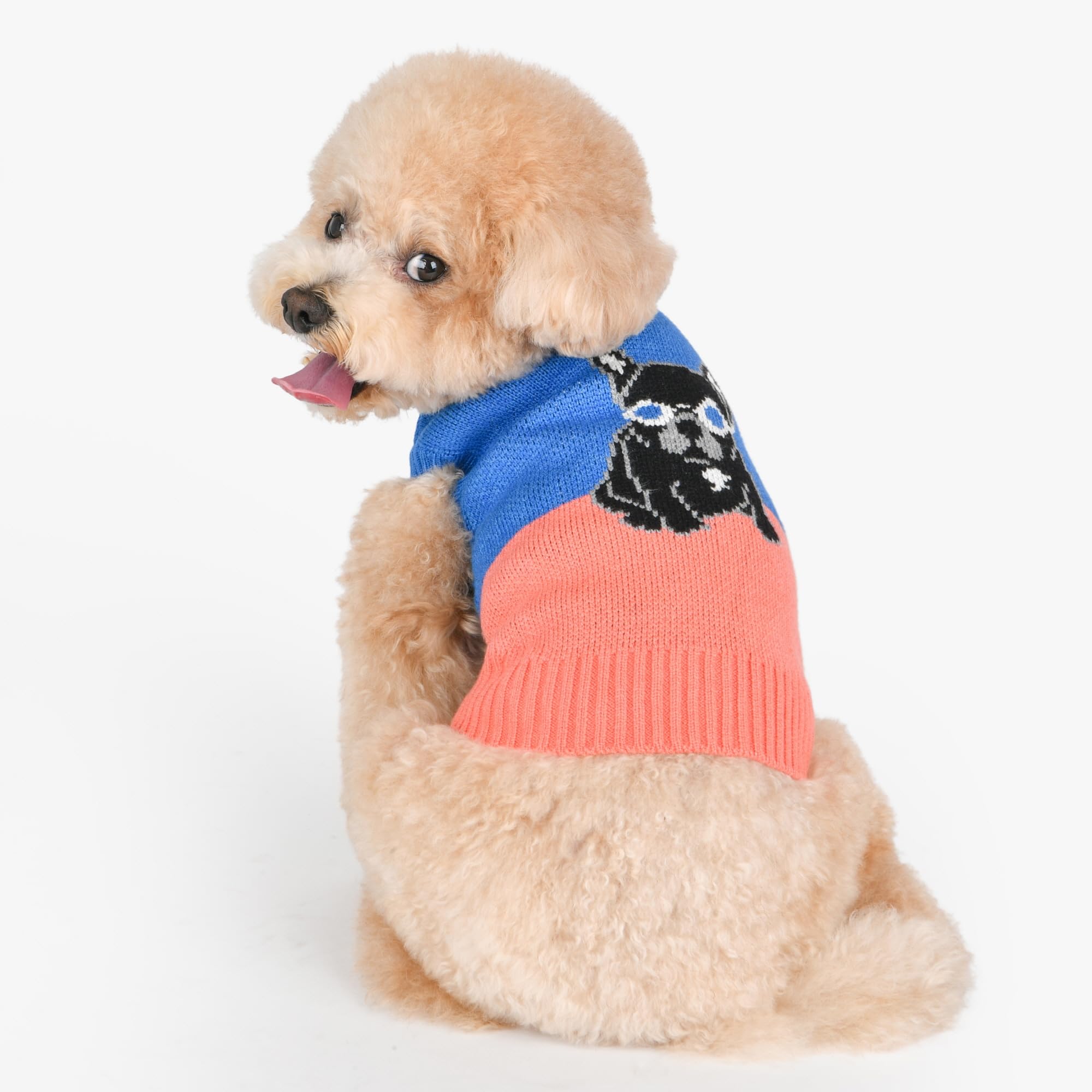 Puppia Bruno Dog Knit Sweater Winter Season For Small And Medium Dogs, Blue, Small