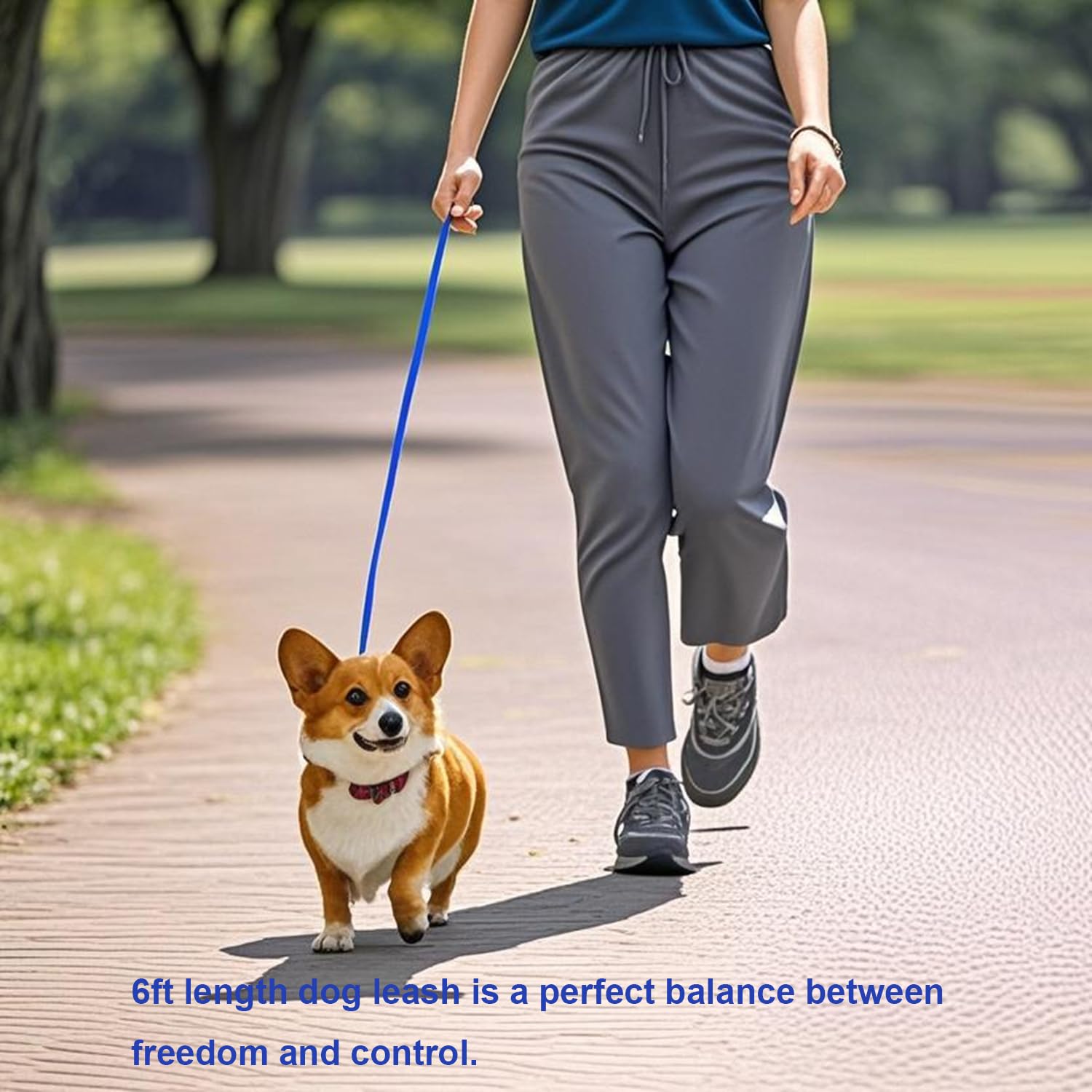 Siumouhoi 6 Ft Puppy Leash, Strong Traditional Style Leash With Easy To Use Collar Hook,Dog Lead Great For Small And Medium And