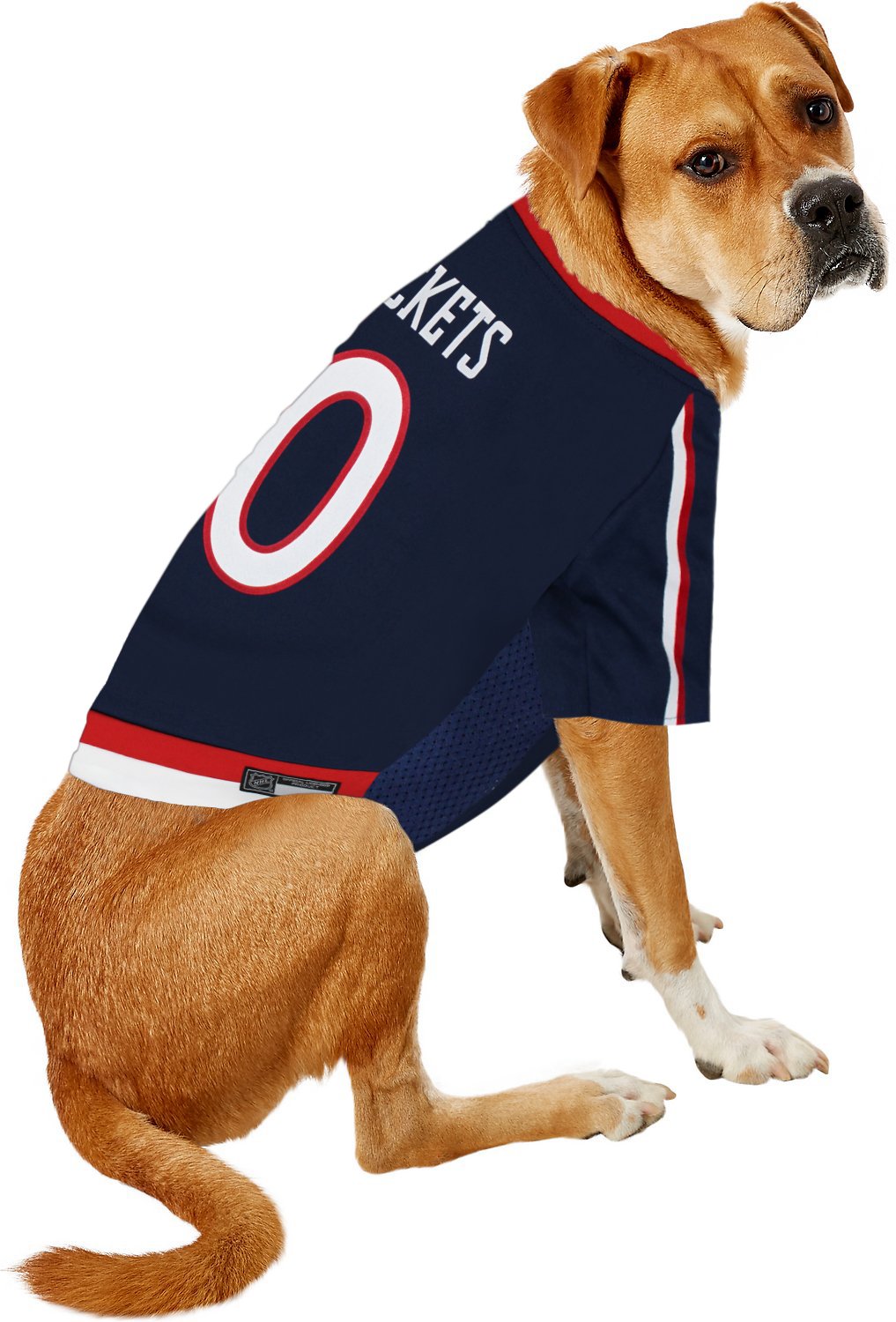 Pets First NHL Columbus Blue Jackets Jersey for Dogs & Cats, Medium. - Let Your Pet be a Real NHL Fan!