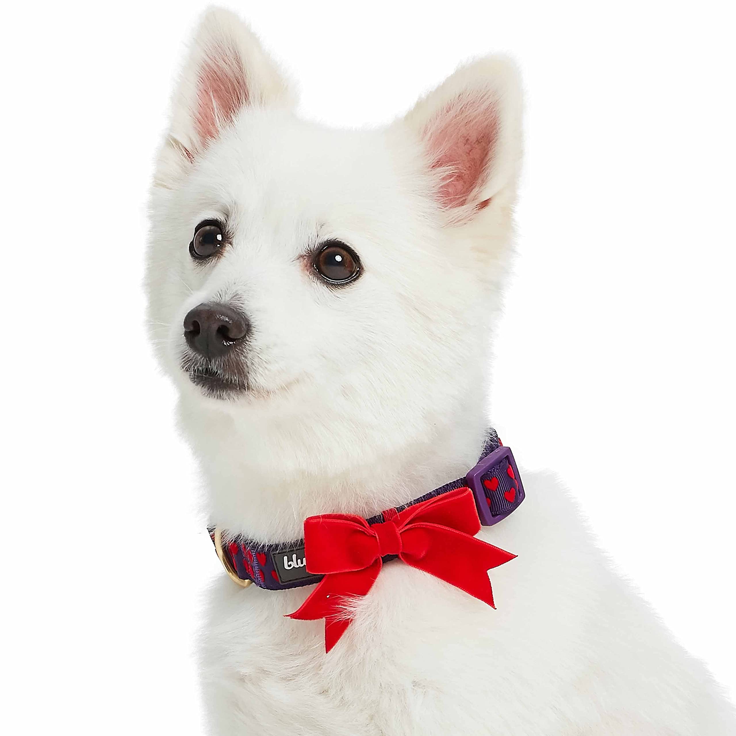 Blueberry Pet Heart Flocking Dog Collar Valentine’S Day Adjustable Collars With Velvety Bowtie For Small Dogs, Gothic Grape, Neck 12'-16'