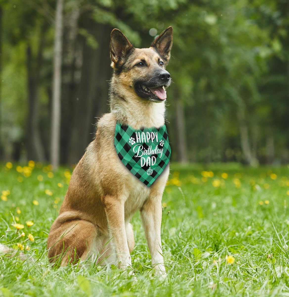 Auii Jo Design Dog Bandana, Plaid Geometric Pattern, Comfortable & Breathable, Perfect For Small To Large Dogs, 25*17In, Unisex,