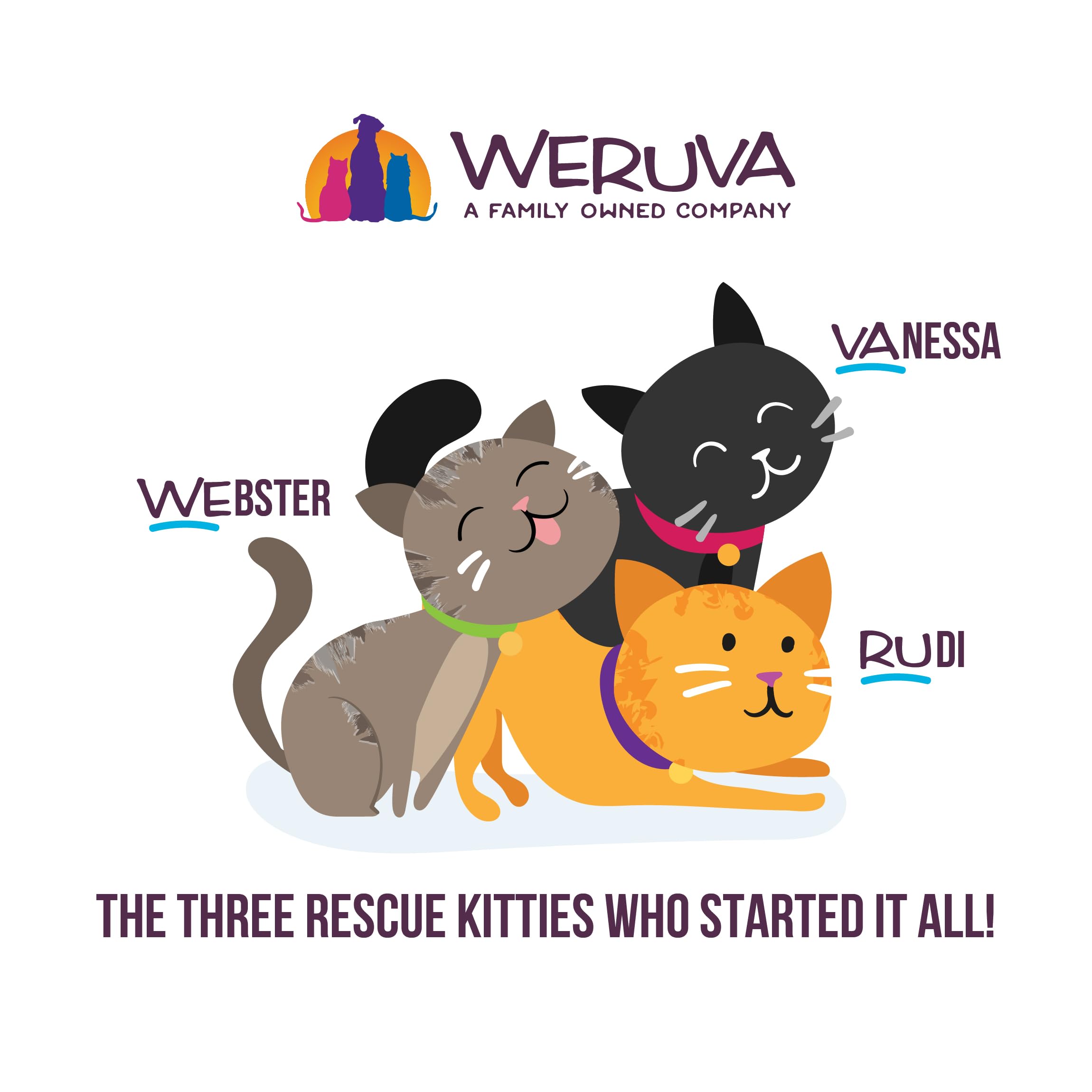 Weruva Cats in The Kitchen Kitchen Cuties Variety Pack Wet Cat Food 10oz Cans (Pack of 12) Multi