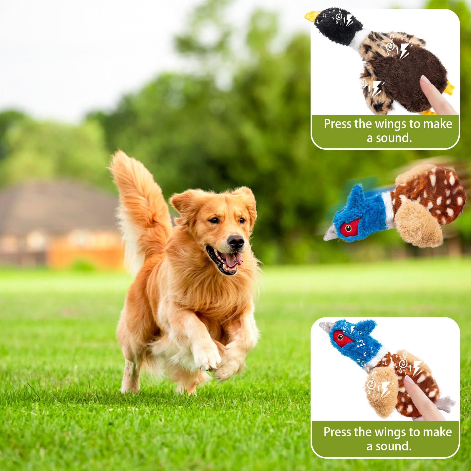 Calibonbon 2-Pack Stuffing-Free Squeaky Dog Toys - Pheasant & Duck Plush (4 Squeakers Each) | Durable Hollow Body for Medium Dog