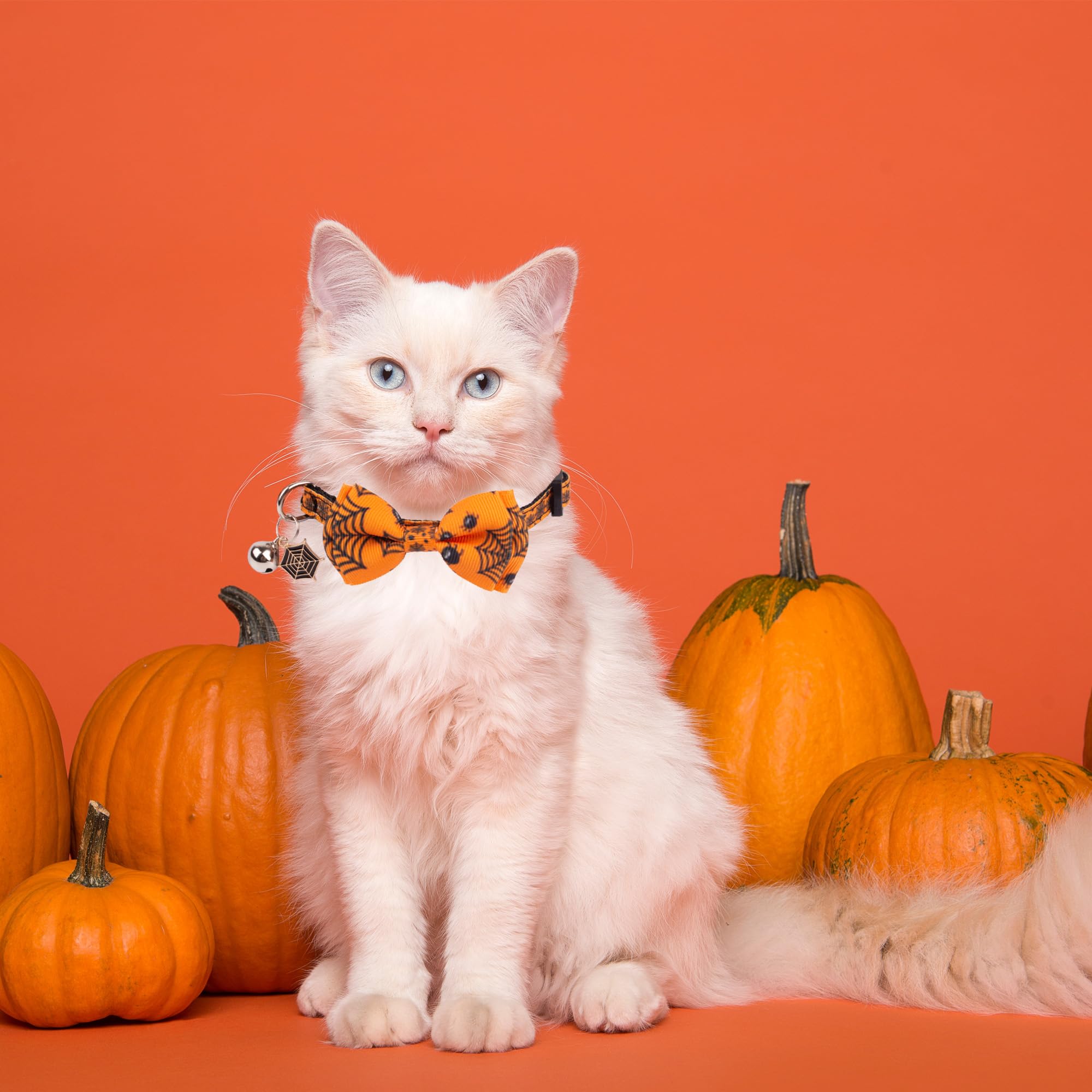Adoggygo Halloween Cat Collars With Bow Bell, Breakaway Cat Bowtie Collar Spider Web Skull Pattern Halloween Collars For Girl Boy Cats Kittens (Halloween-2)
