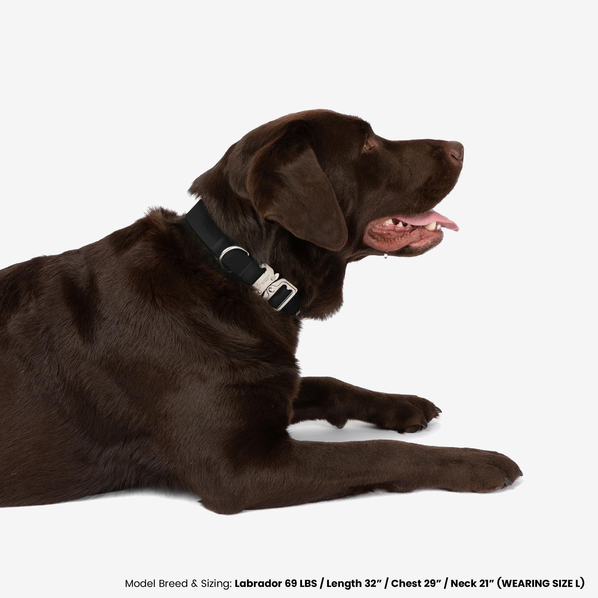 Nandog The Signature Collection Waterproof Poly-Flex Sport Dog Collar In Small, Black - Durable & Adjustable - Secure Double Lat