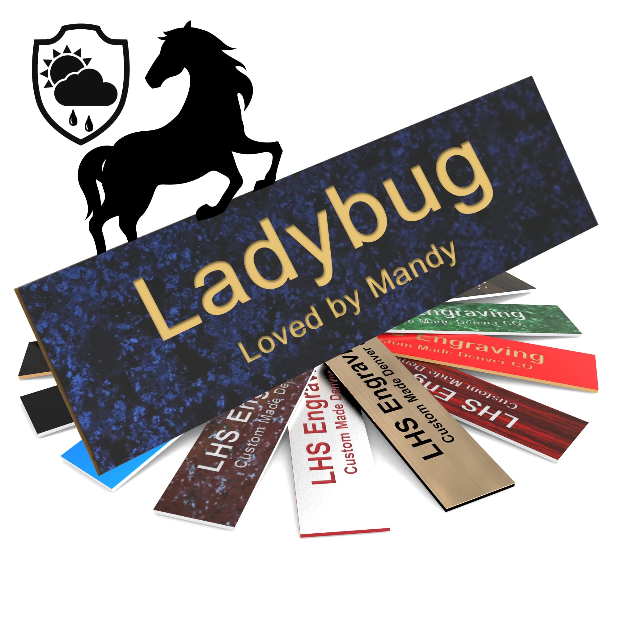 Lhs | Horse Stall Name Plate, 2X8 Personalized Stall Signs, Uv Protected, All Weather Adhesive, Hanging, Mounting Or Other, Cele
