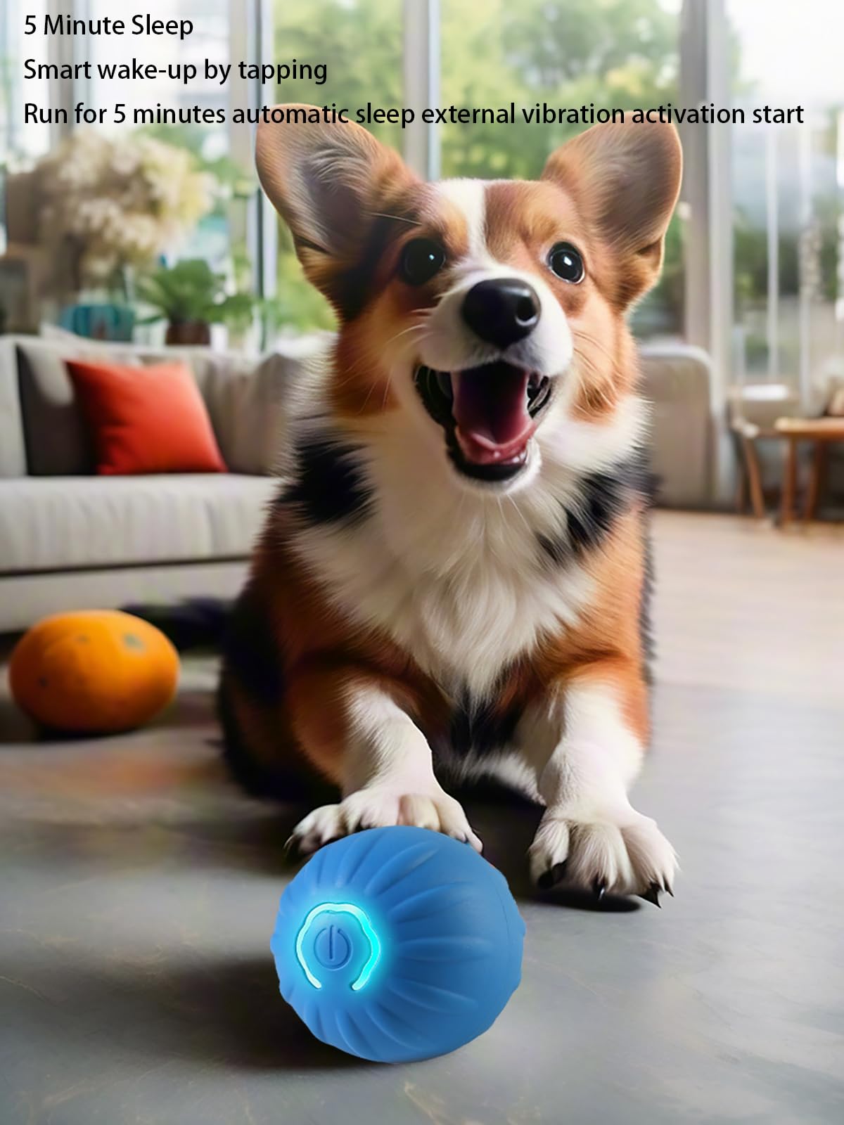 Winb Interactive Led Dog Ball (2 Inch)- Usb Rechargeable Motion-Activated Rolling Toy For Small Dogs, Dogs Ball Play And Wicked
