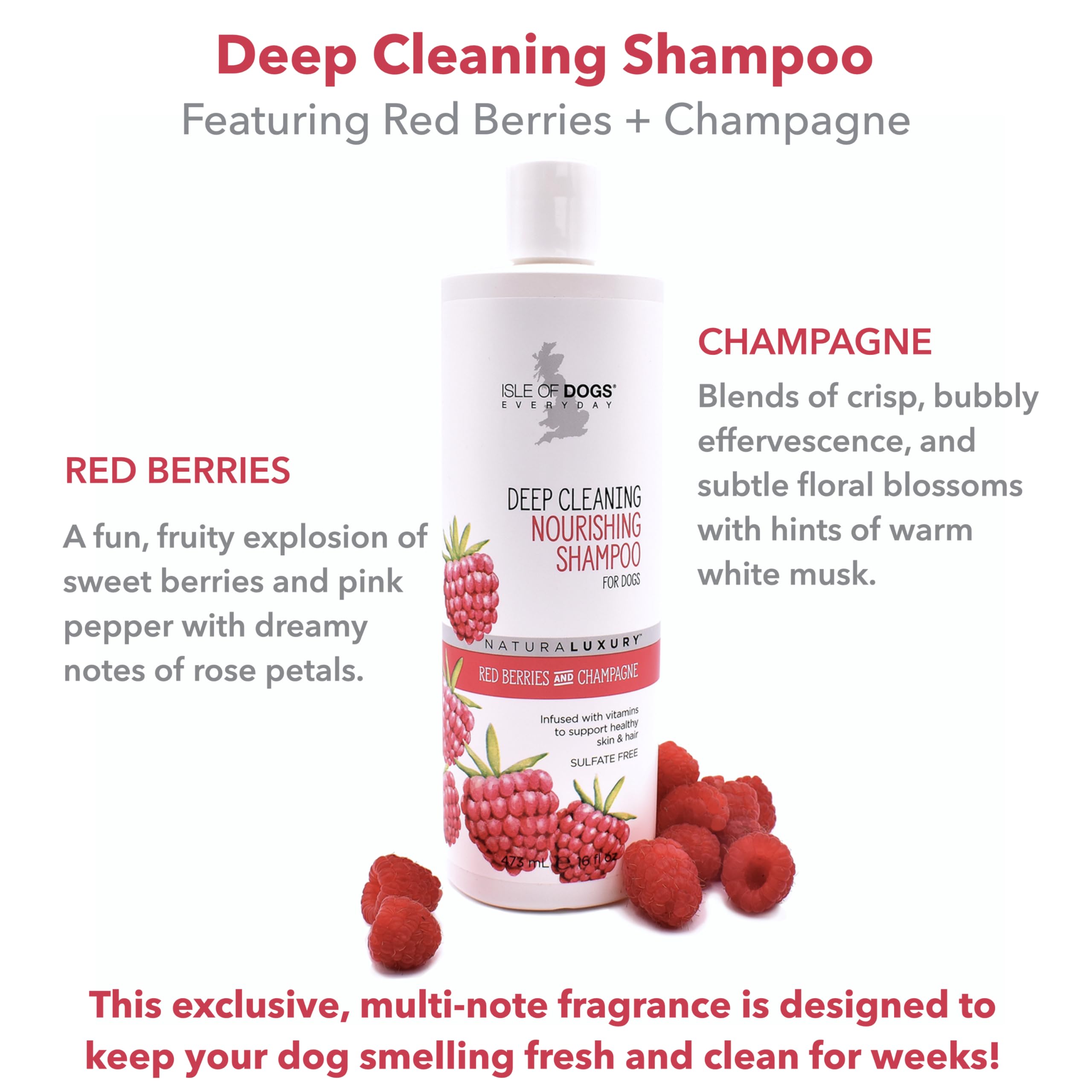 Isle of Dogs Deep Cleaning Shampoo, Sulfate Free, 16 Ounce (822-16)